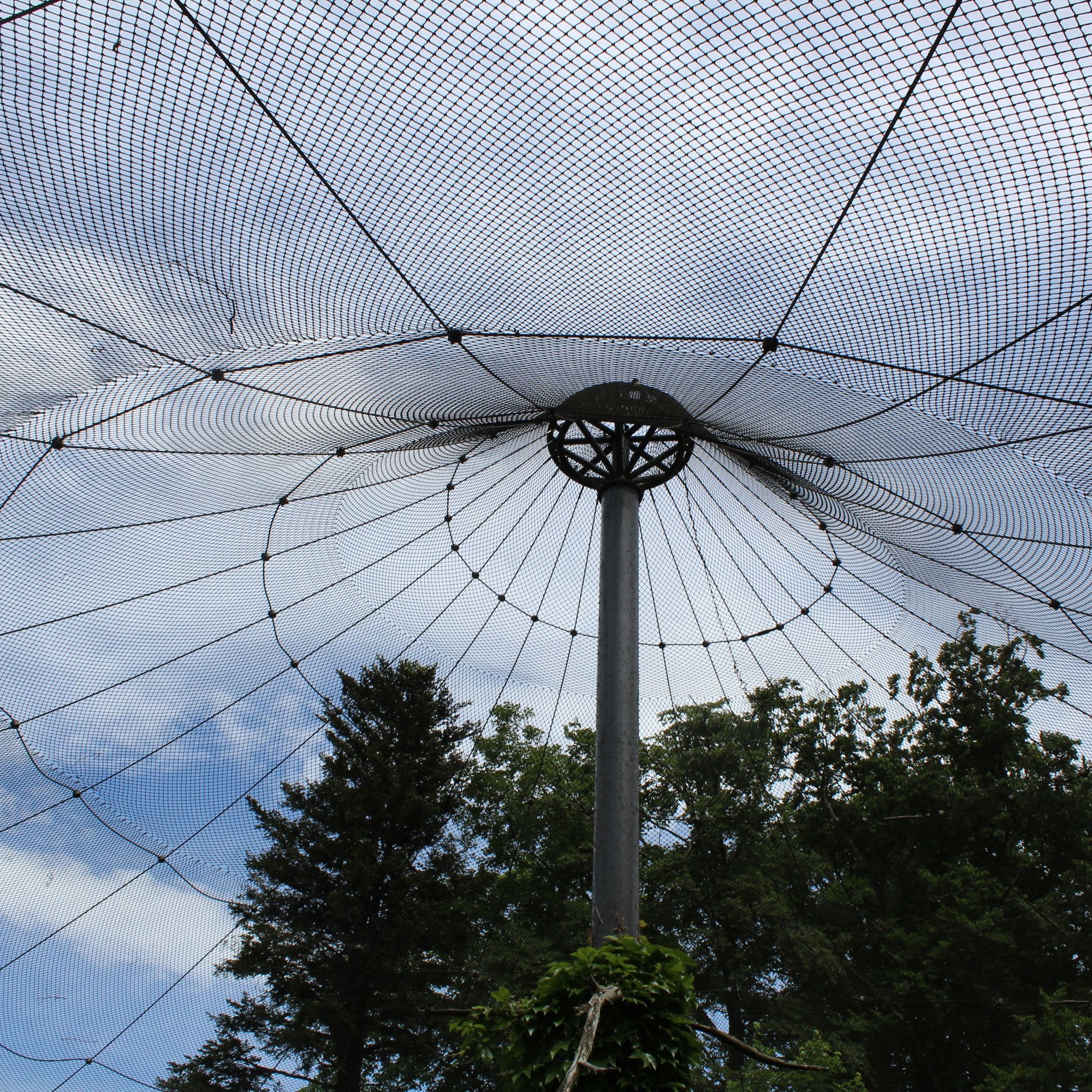 Das Nylonnetz der Eulenvoliere im Natur- und Tierpark Goldau im Kanton Schwyz muss immer wieder geflickt werden, weil die Jahre es brüchig gemacht haben.