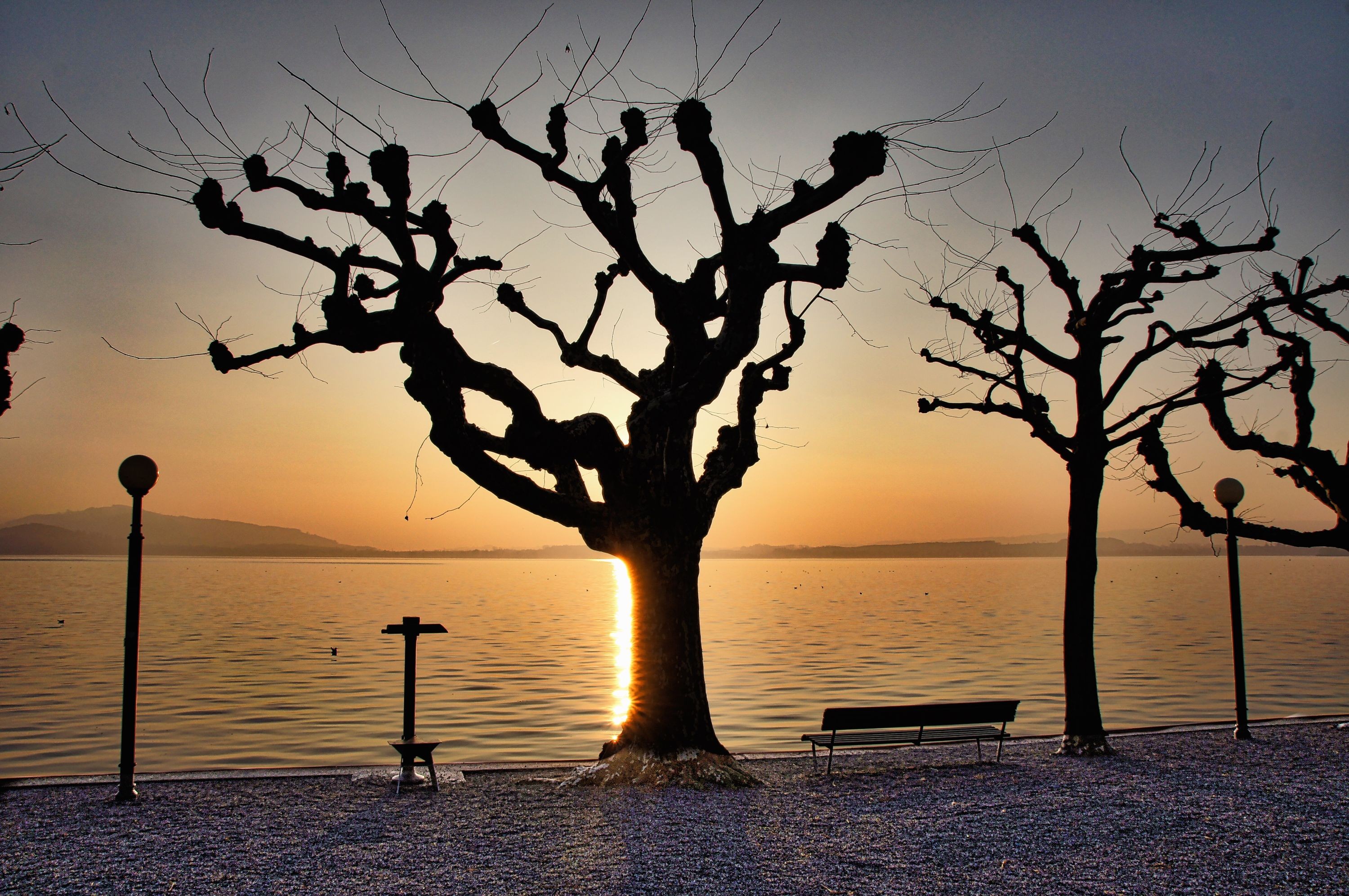 Zugersee am Abend