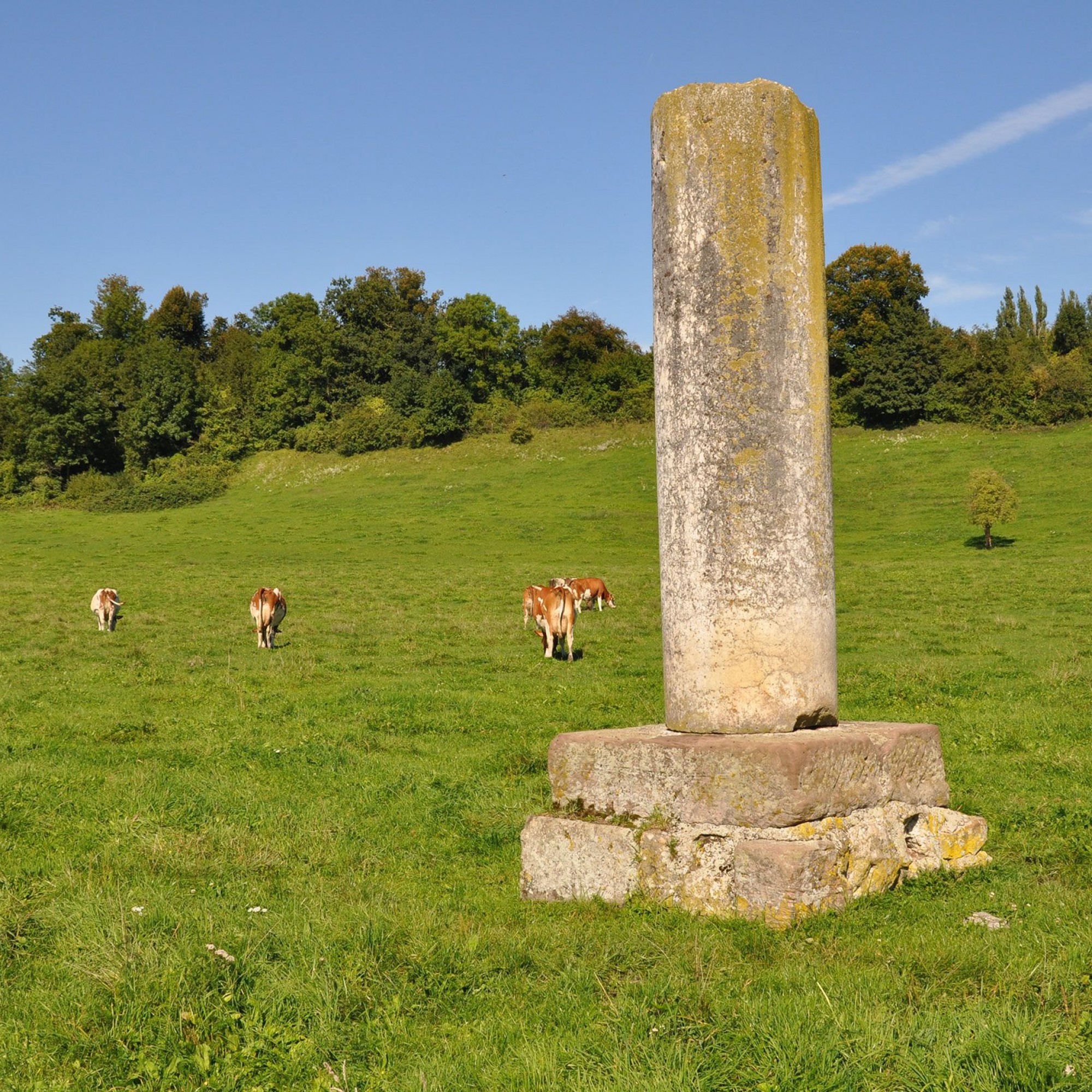 Wiese bei Augusta Raurica.