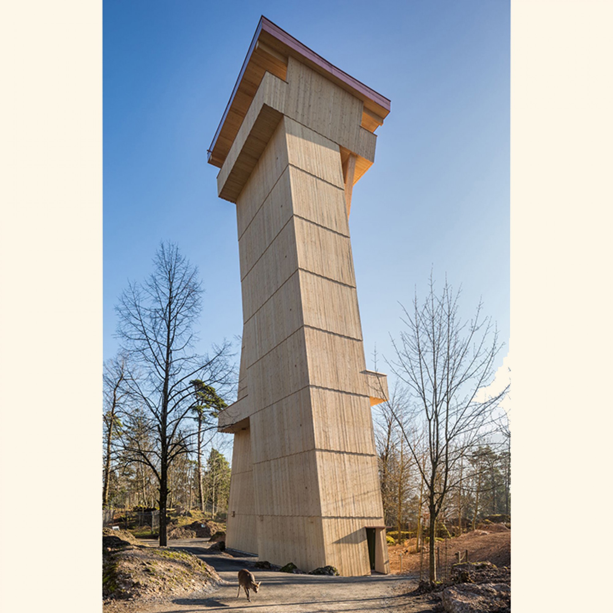 Sonderpreis Schweizer Holz für Turm im Natur- und Tierpark Goldau.