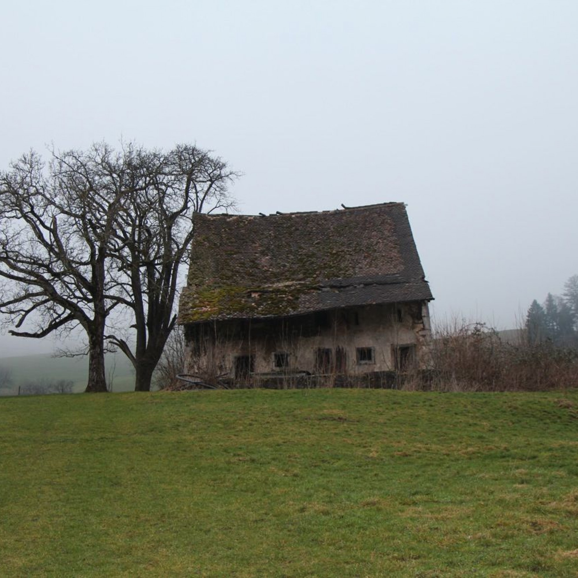 Feldscheune in Langenbruck