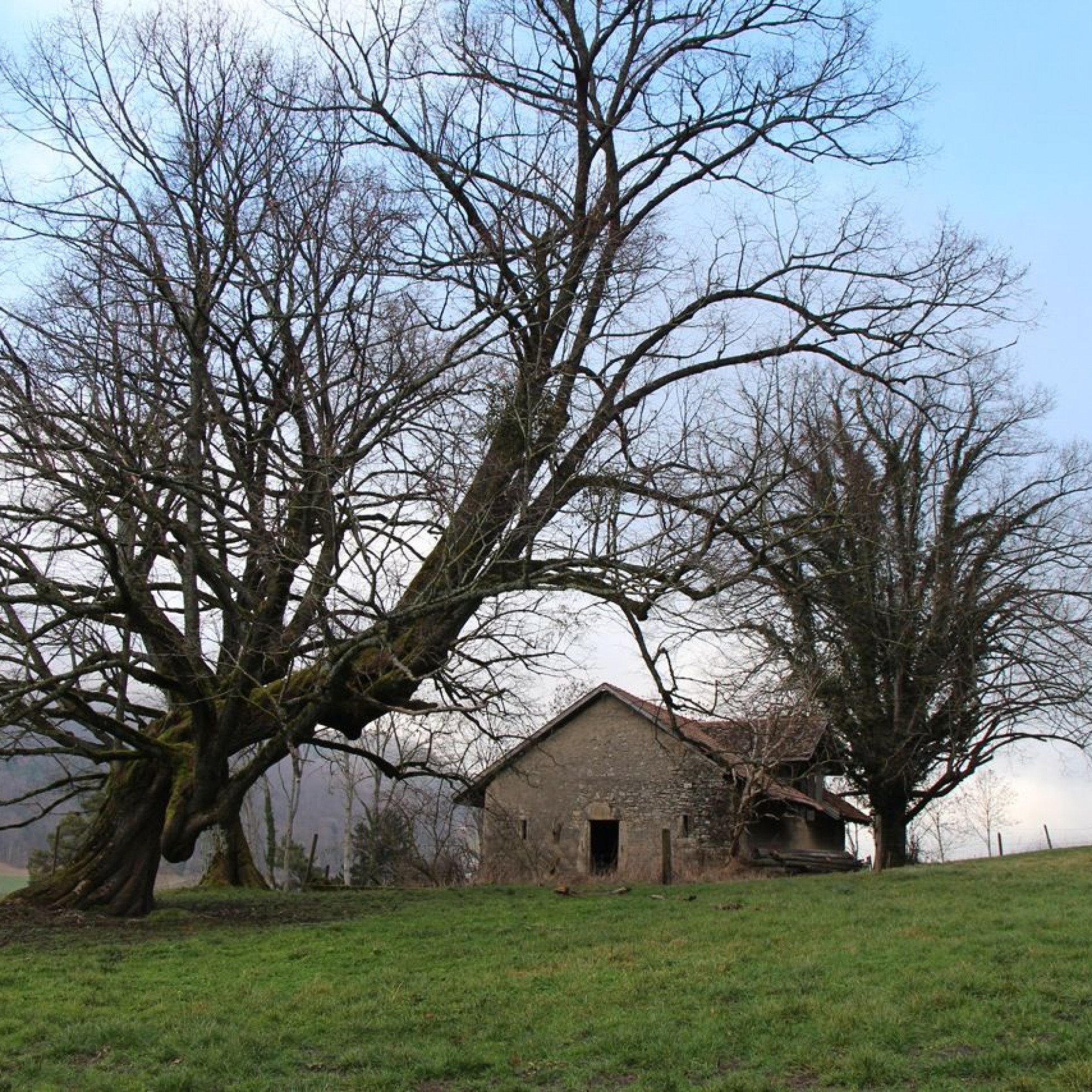 Feldscheune in Läufelfingen