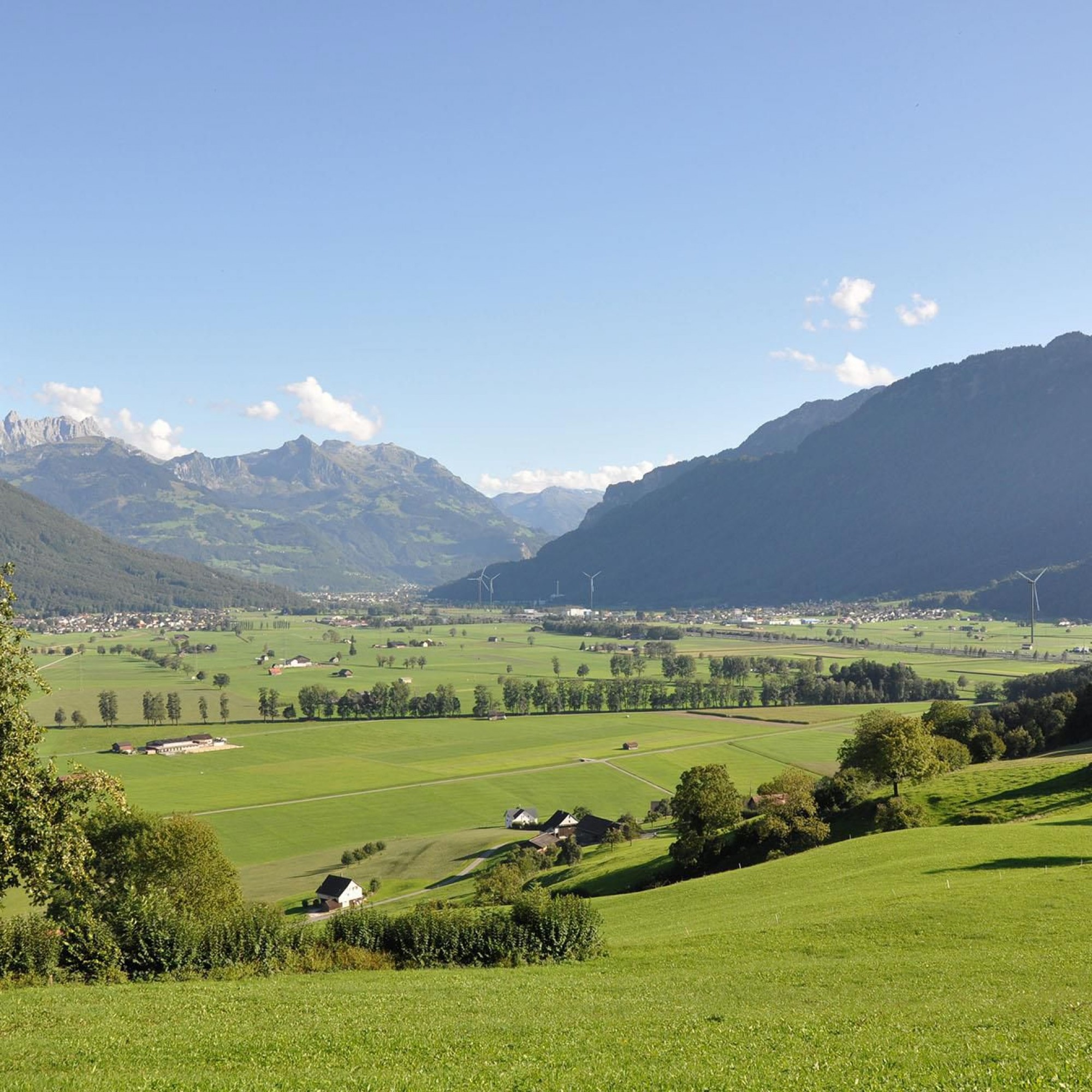 So könnte der geplante Windpark im Linthgebiet aussehen.