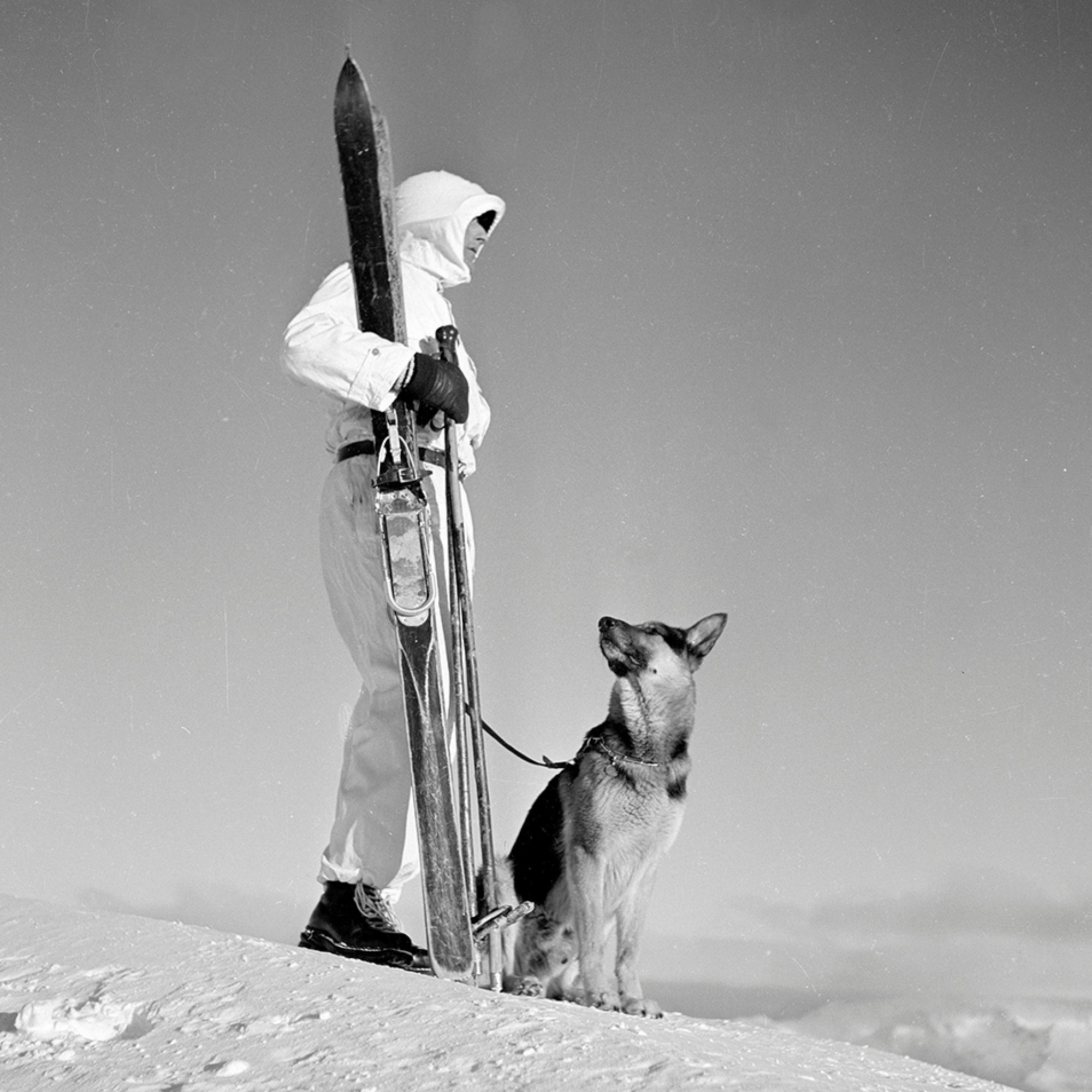 Gebirgsdienst mit Lawinenhund, Davos, 1939-1945.