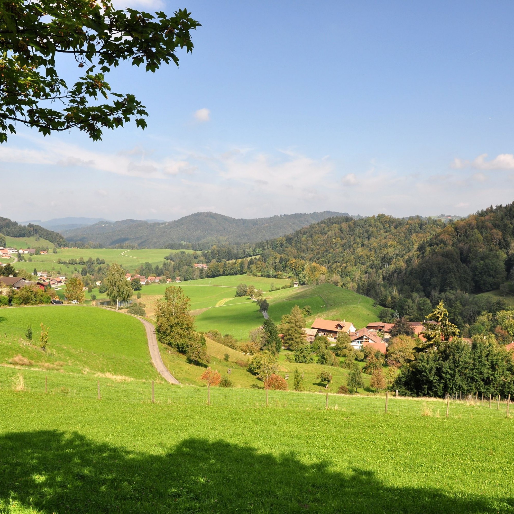 Zürcher Oberland: Bäretswil, Neuthal und Hinterburg im Tösstal.