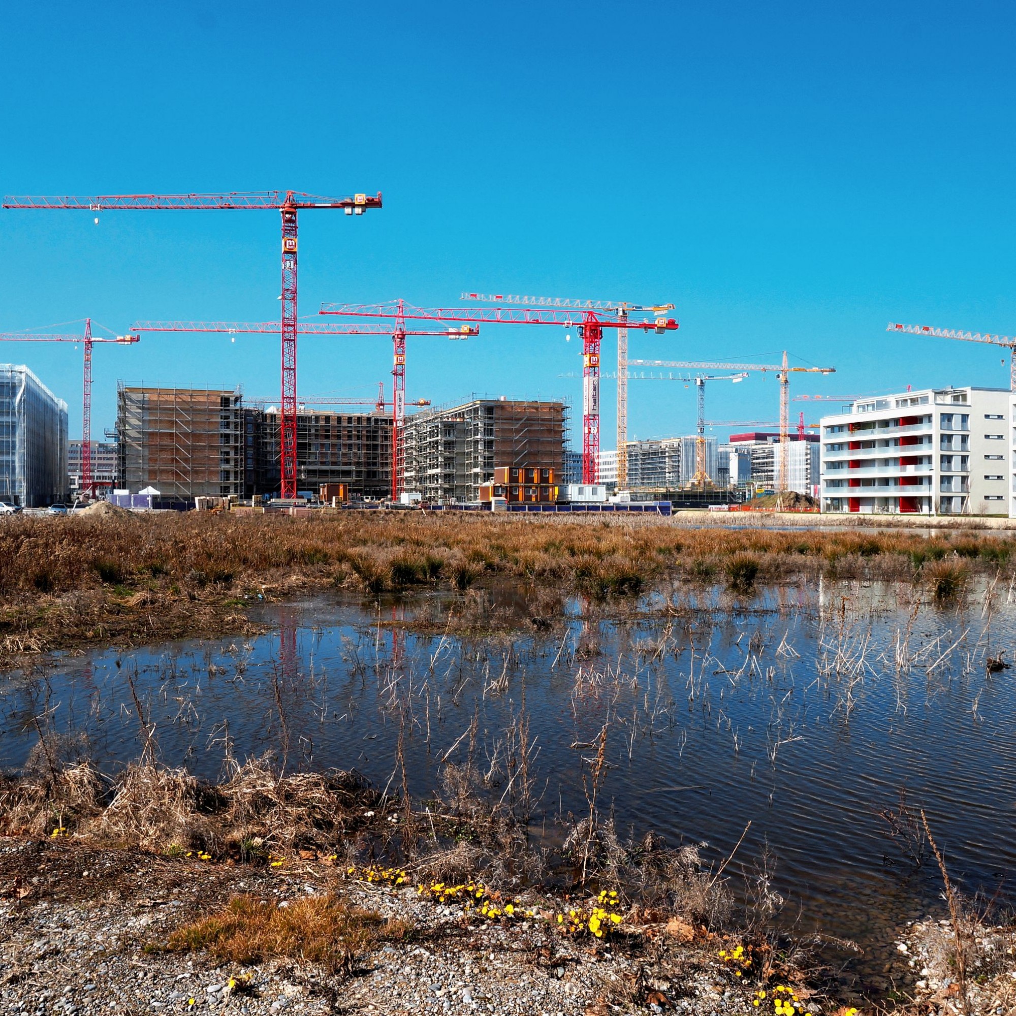 Es stehen 59'700 Mietwohnungen leer. Und es wird weiter gebaut. 