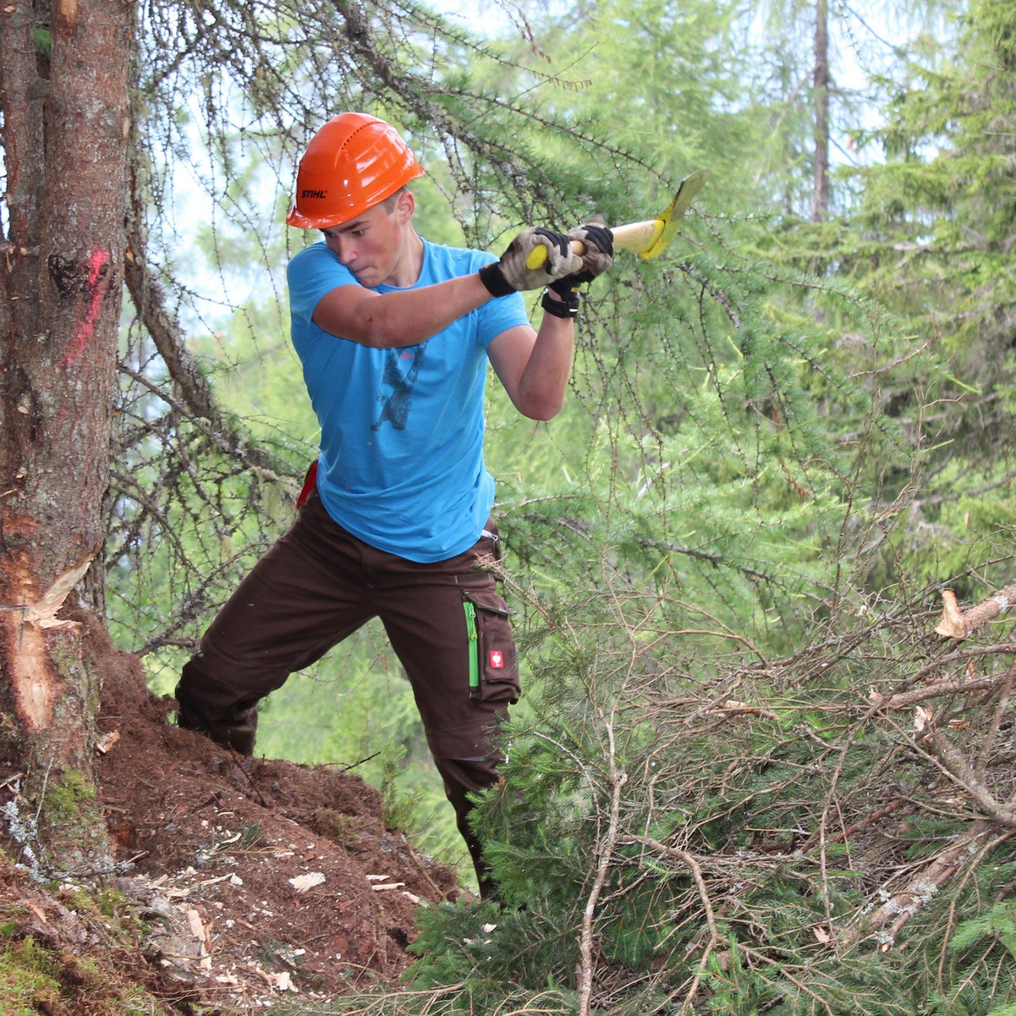 Arbeiten fürs Bergwaldprojekt.