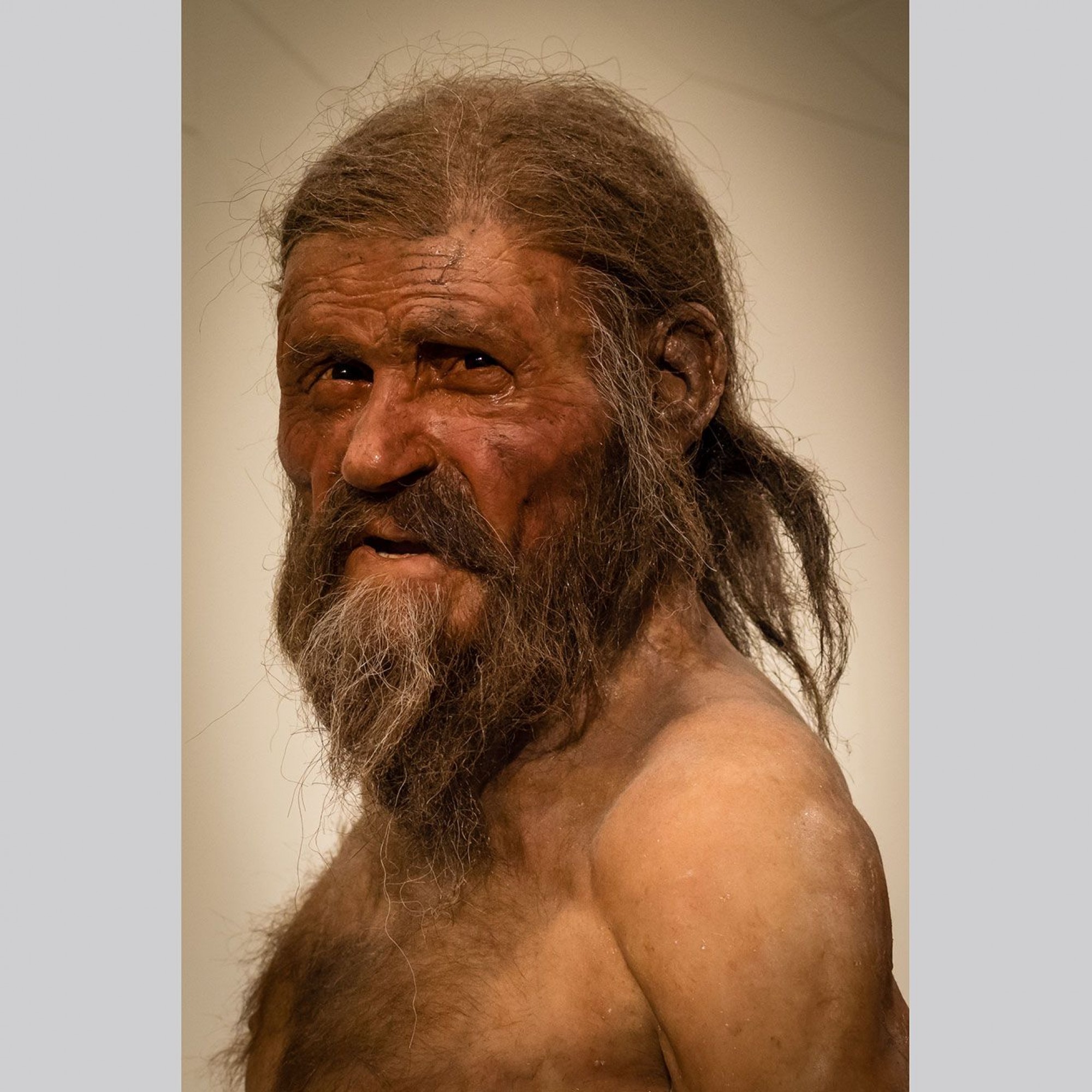 Nachbildung von Ötzi, Südtiroler Archäologiemuseum, Bozen
