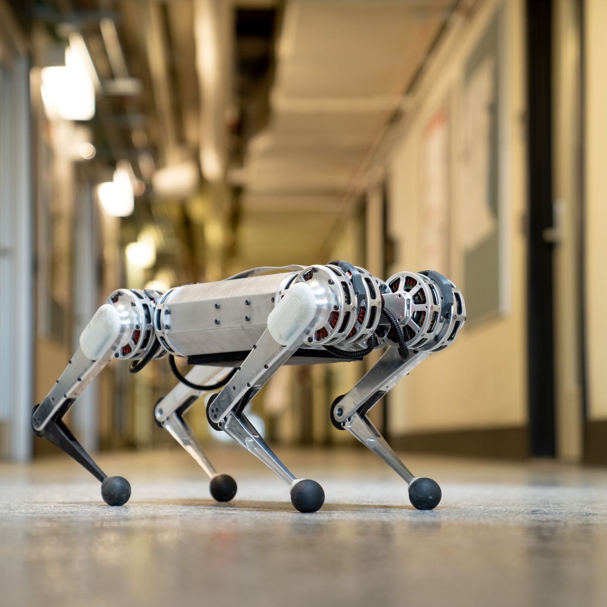 Der Gepard-Roboter kann sich federnd bewegen und wiegt neun Kilo.