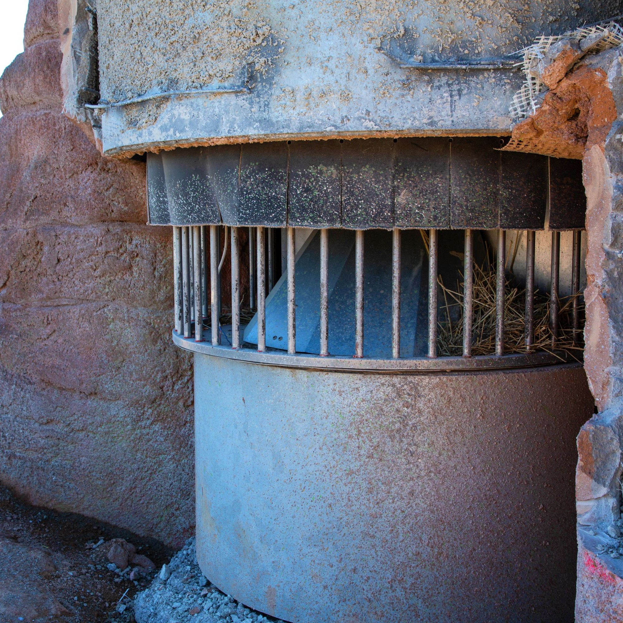 In den künstlichen Baobab verbergen sich verschiedene Futterstellen für die Tiere.