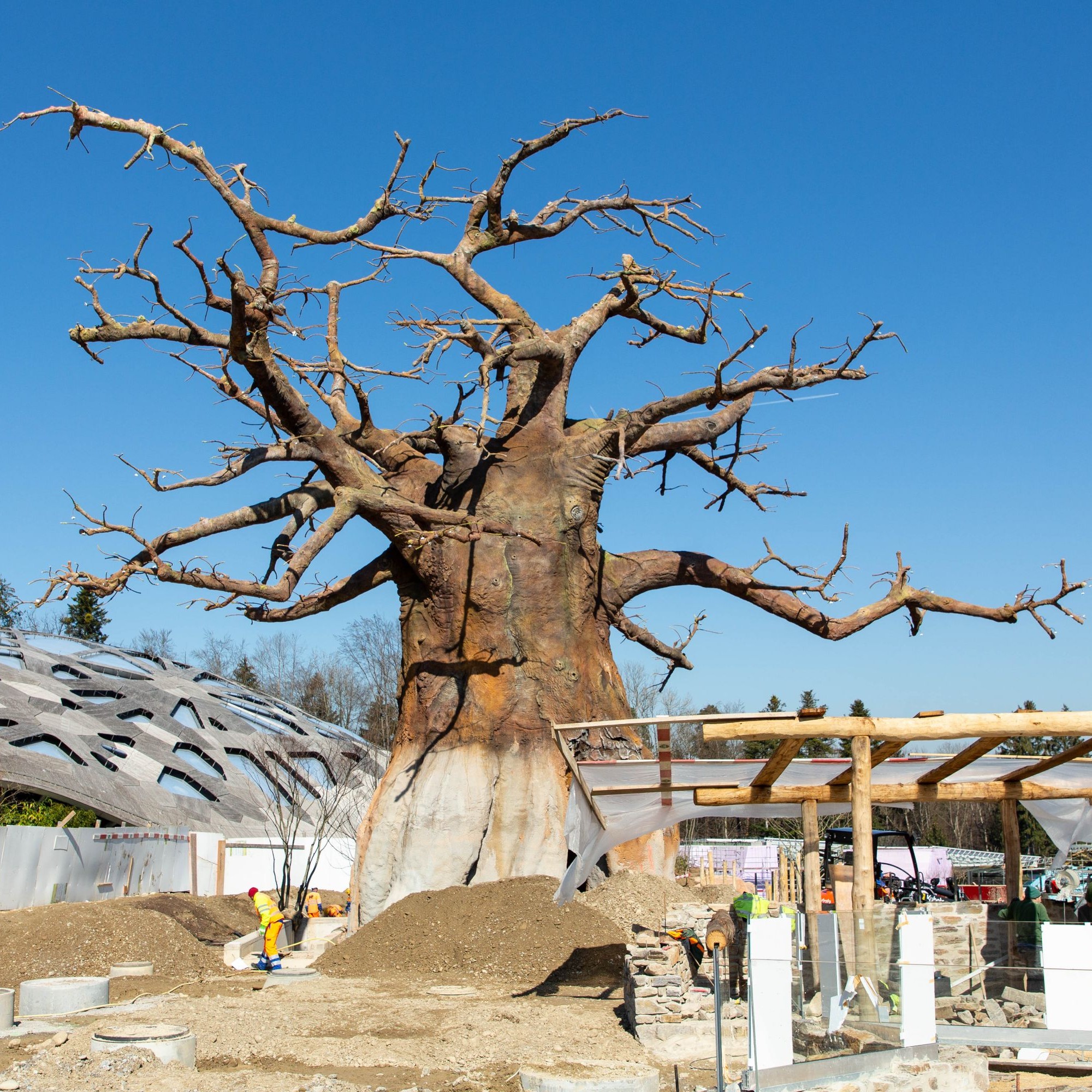Zum Landschaftsbild gehören schirmartige Bäume, kleinere Buschgruppen sowie vier künstliche Baobabs. 