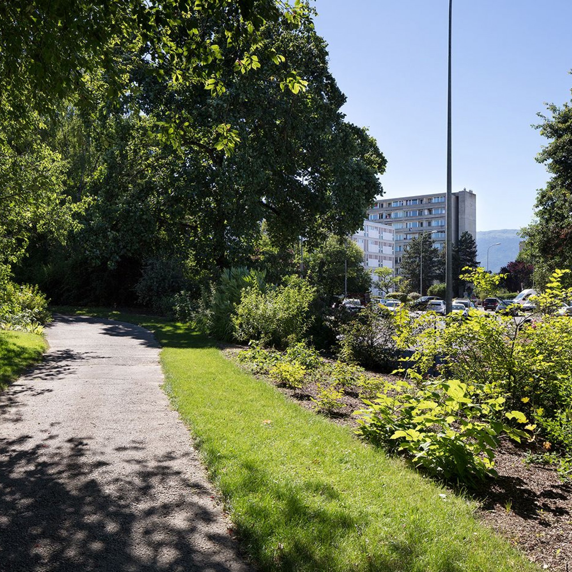 Jardin botanique alpin.