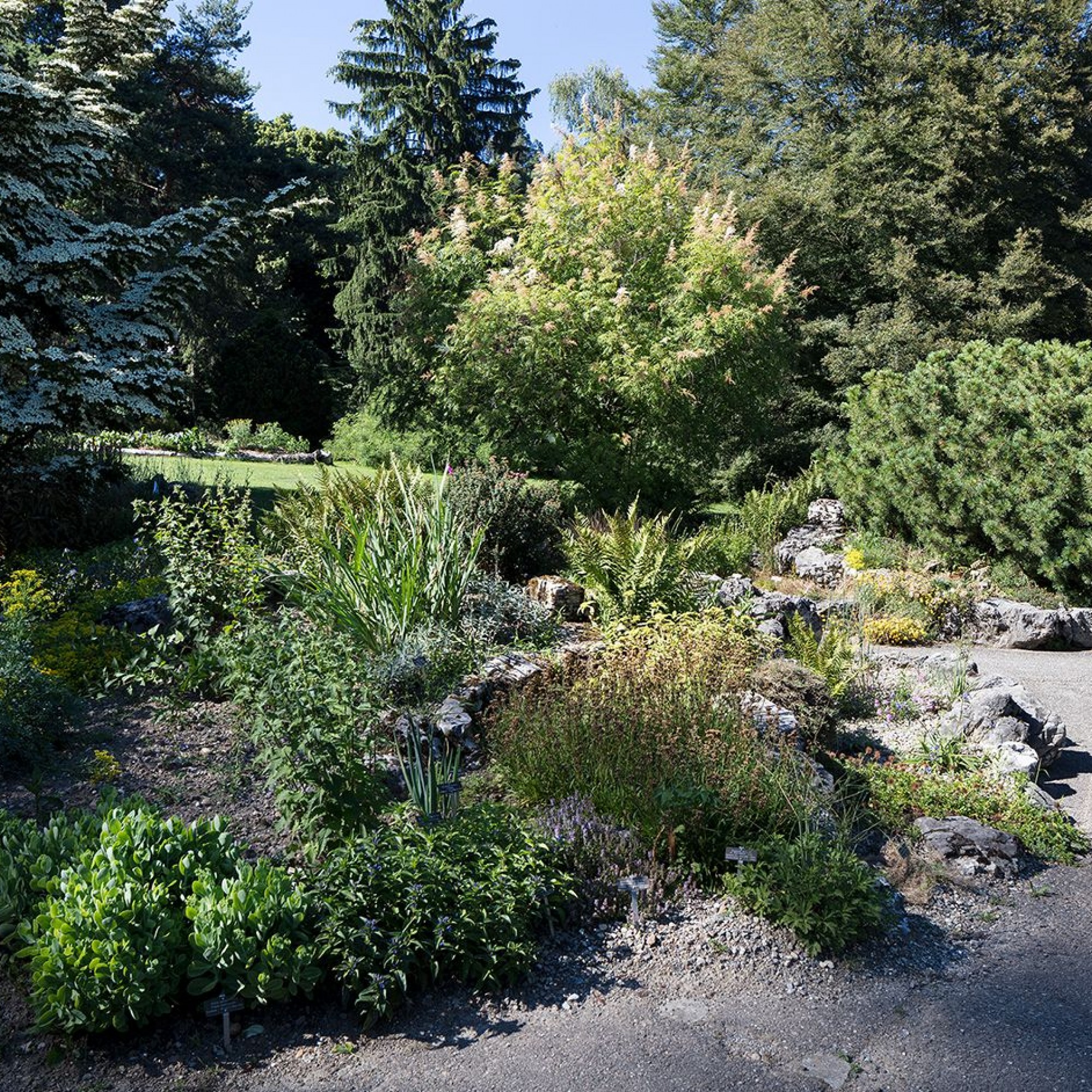 Jardin botanique alpin 