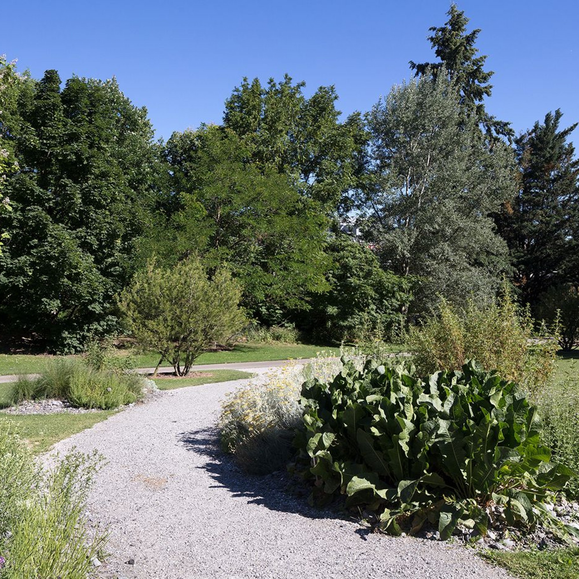 Jardin botanique alpin 