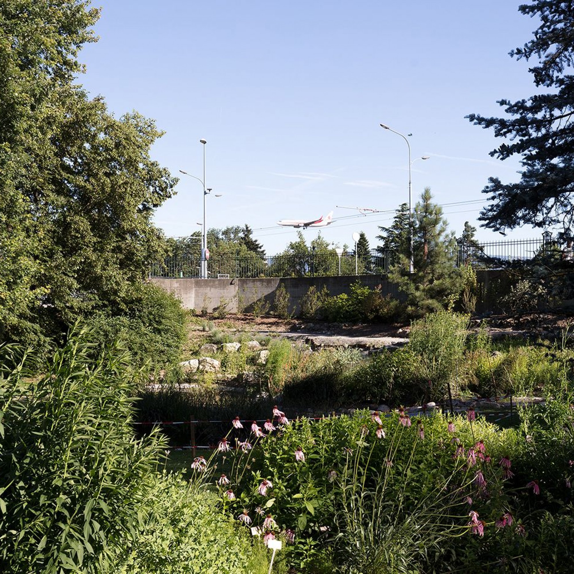  Jardin botanique alpin 