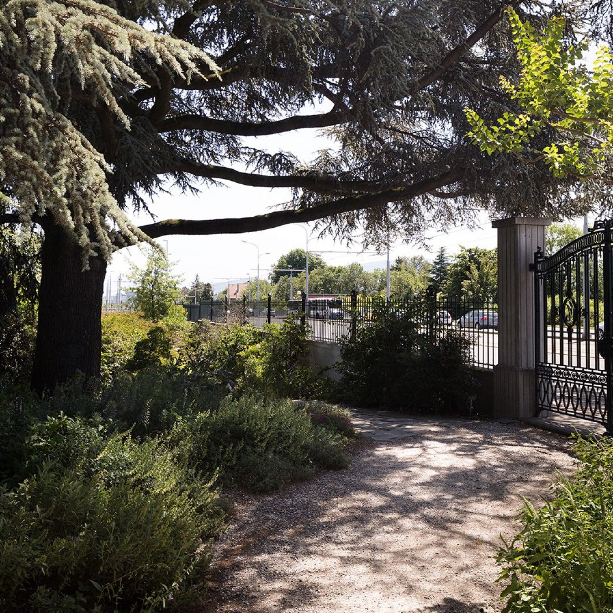 Jardin botanique alpin.