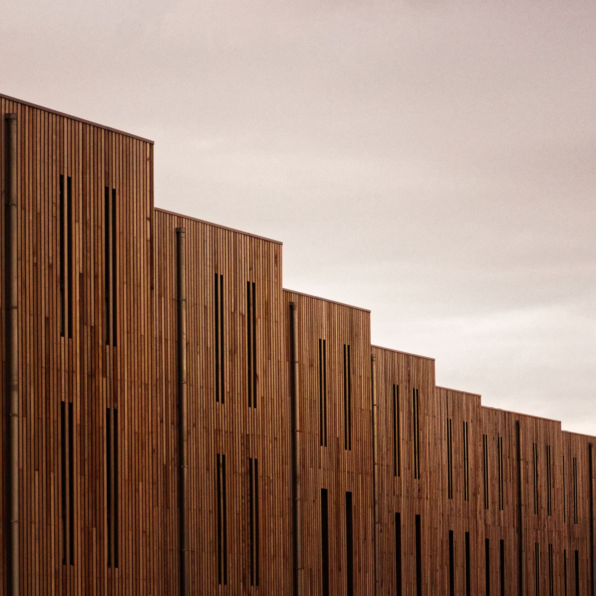Thema am Holzbautag in Biel: Welche gestalterischen und technischen Möglichkeiten bietet eine Holzfassade? 