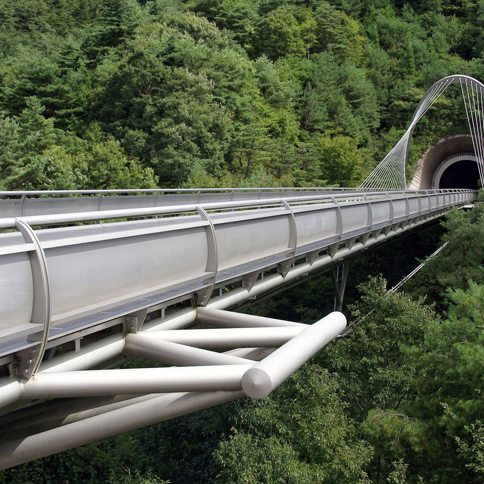 Miho Museum 