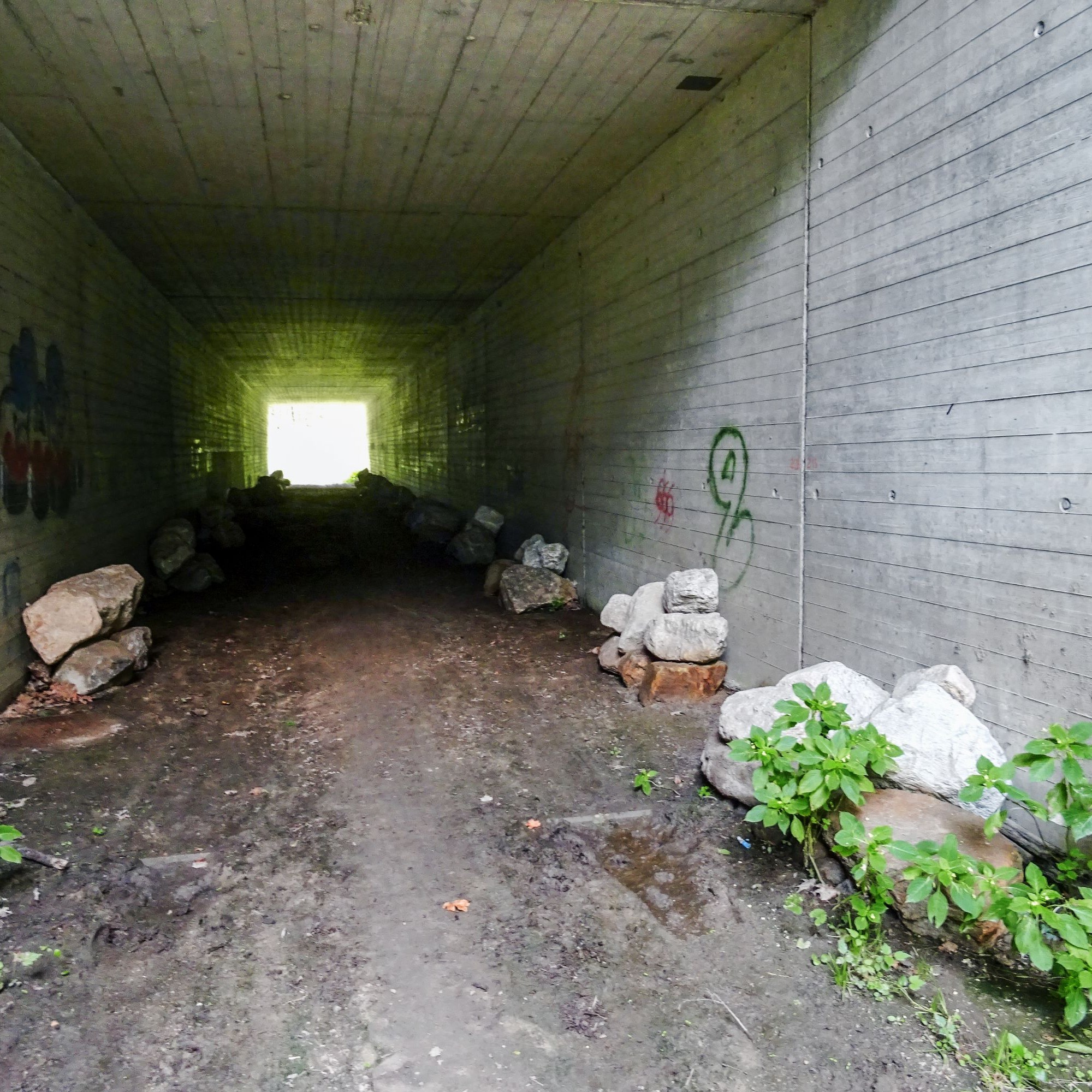 Ertüchtigung einer bestehenden Unterführung an der A2 mit Versteckmöglichkeiten und Strukturen für Amphibien und Kleintiere.