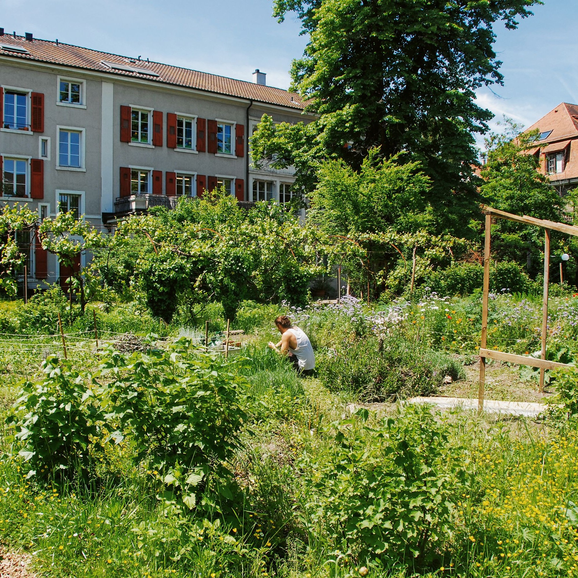 Auch die Basler Unigärten gehören zum  Netzwerk «Urban Agriculture Basel».