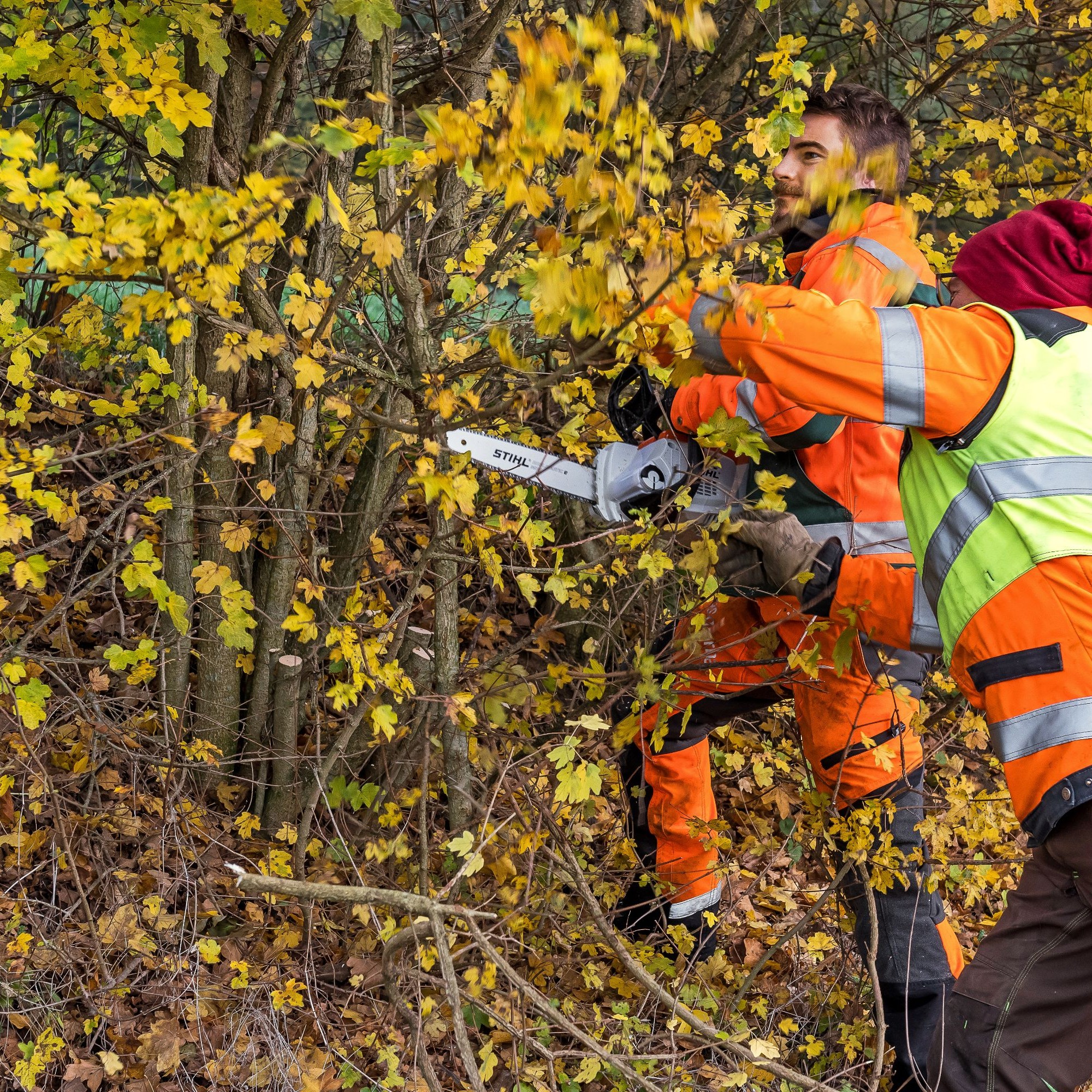 Mit der steigenden Leistungsfähigkeit von Elektrogeräten werden die Einsatzbereiche immer vielfältiger.