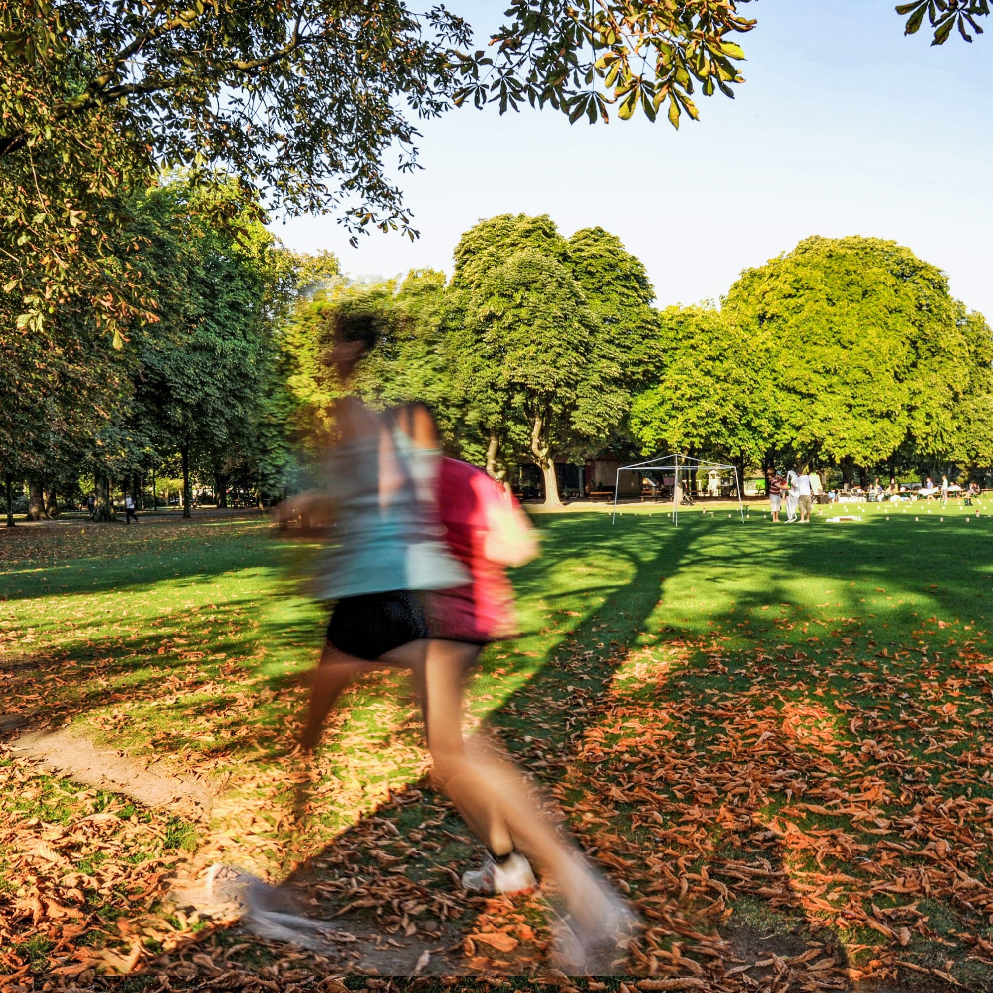 Die Stadt Basel zählt etwa siebzig historische öffentliche Gärten und Parks, in denen Jogger sich ihren eigenen Weg auf weichem Untergrund suchen. Nun sollen Parkanlagen wie die Schützenmatte ins Inventar schützenswerter Gartenanlagen überführt werden. 