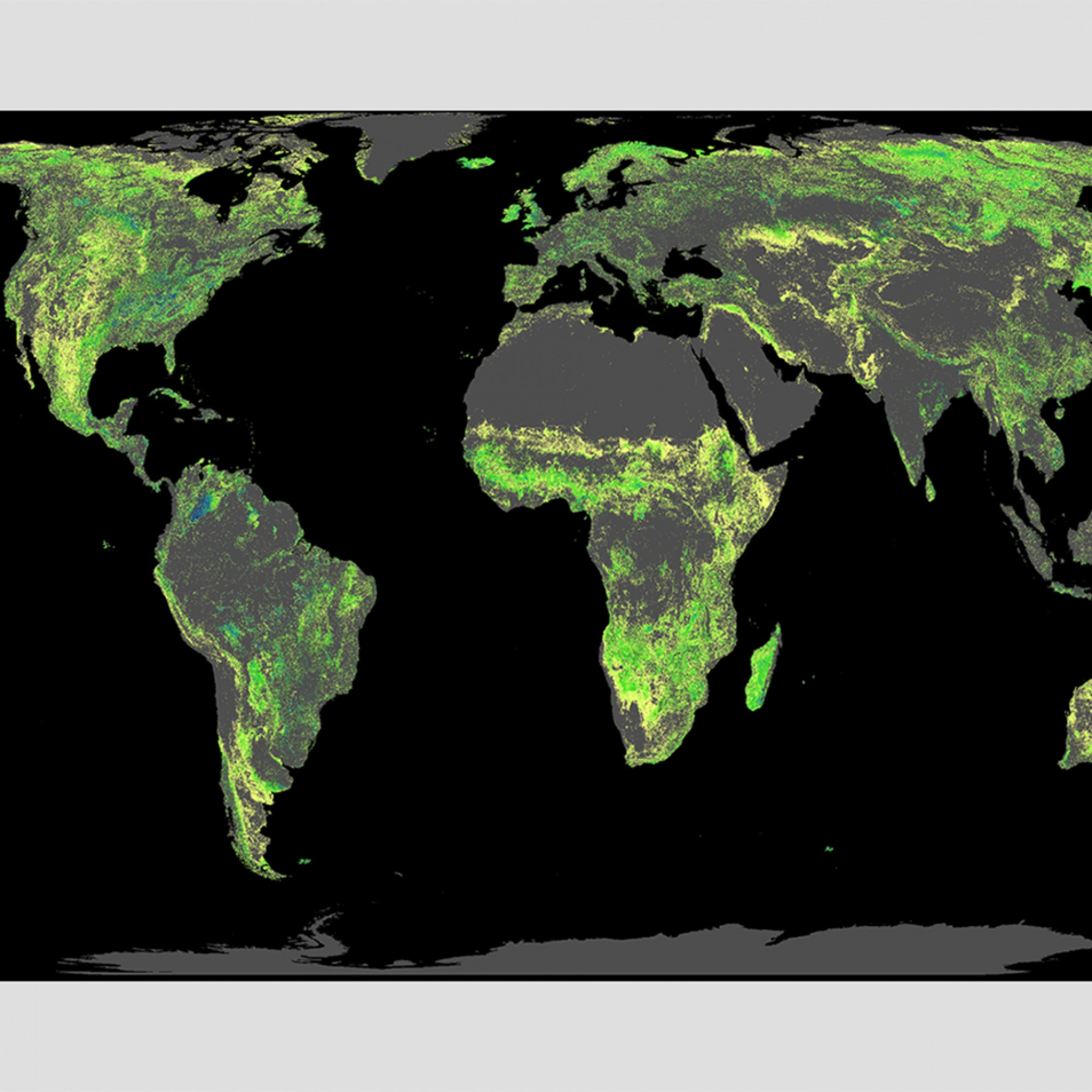 Diese Fläche ist für die Wiederaufforstung von Wäldern verfügbar (ohne bestehende Wälder, Landwirtschaftsflächen, Wüsten und Städte).