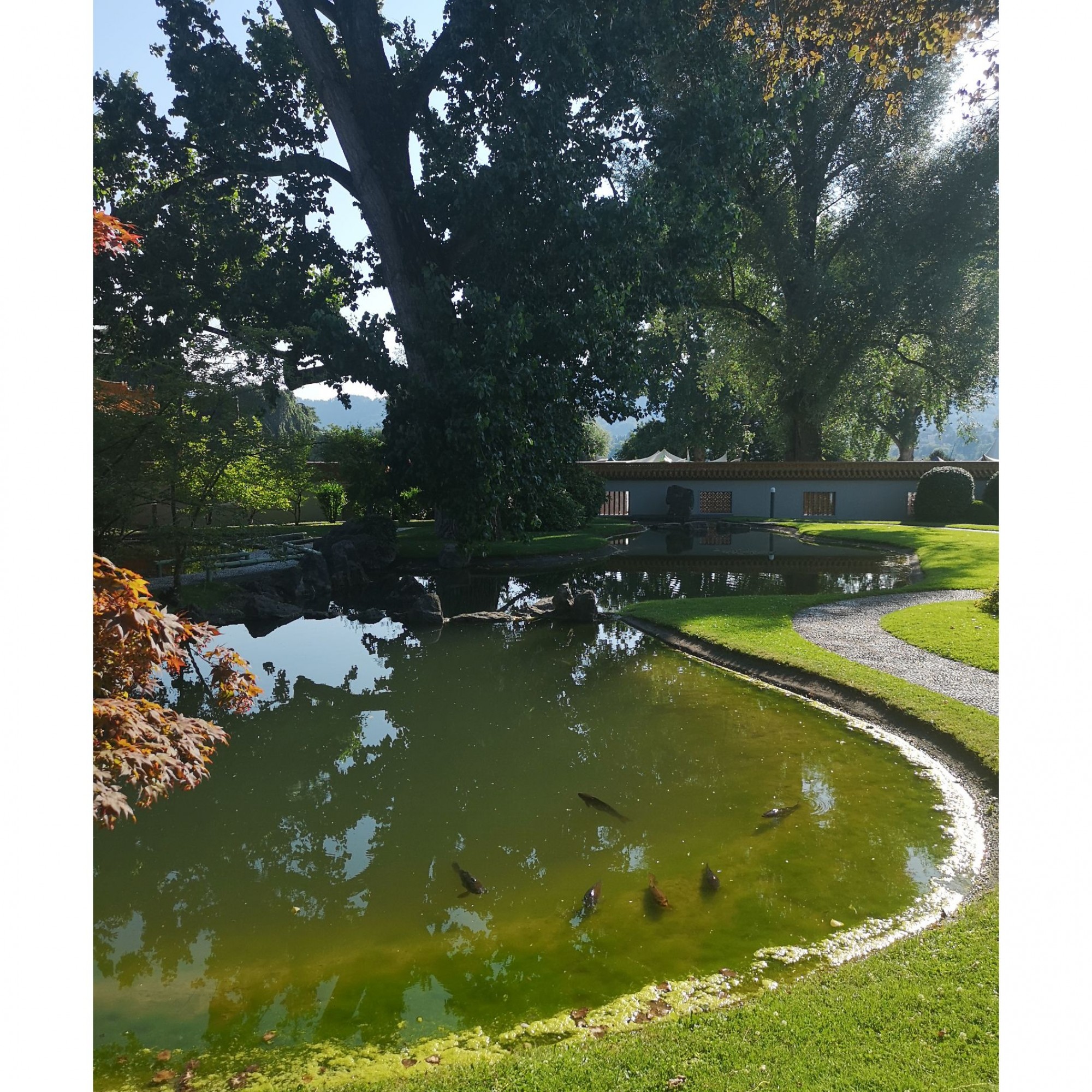 Die Fische im Teich symbolisieren Überfluss, Reichtum, Wohlstand, Ausdauer und Hartnäckigkeit. Früher hatte es noch Enten, welche für die Unterdrückung des Bösen und eheliche Treue standen.