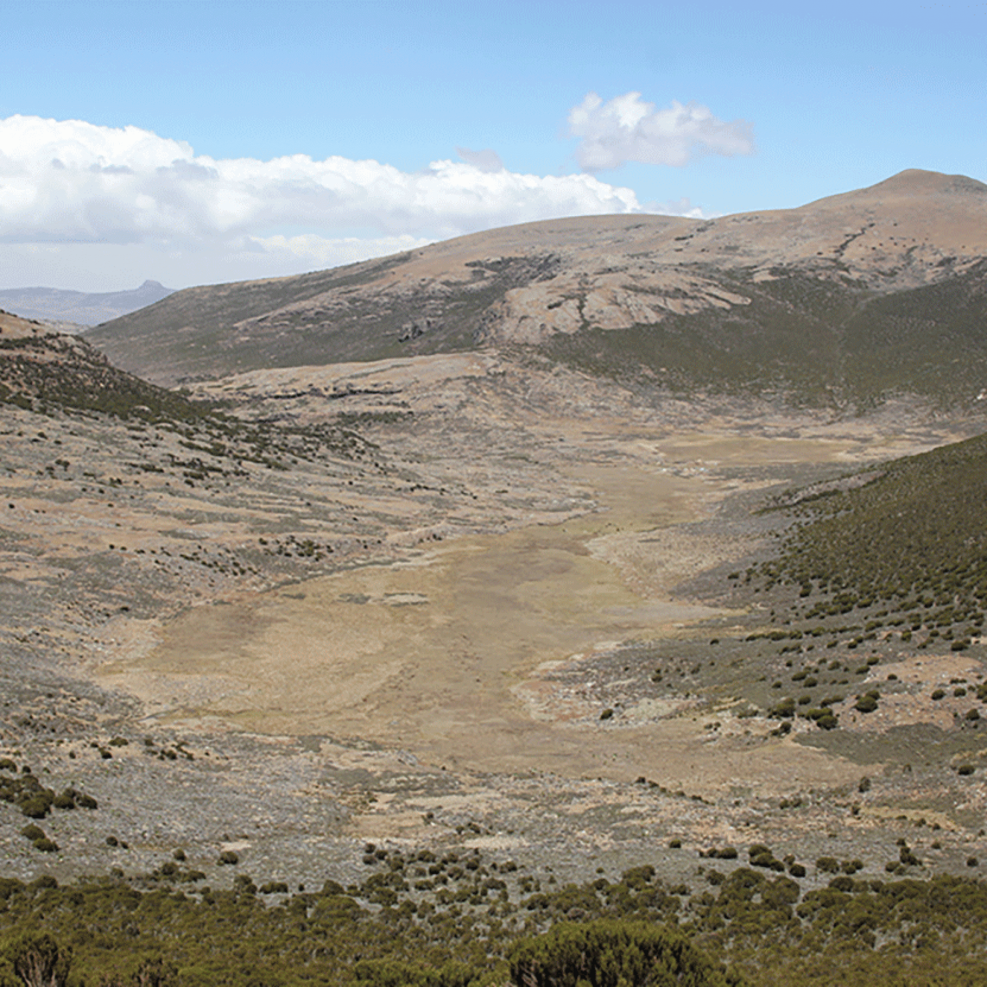 Wasama-Tal in den Bale Mountains 