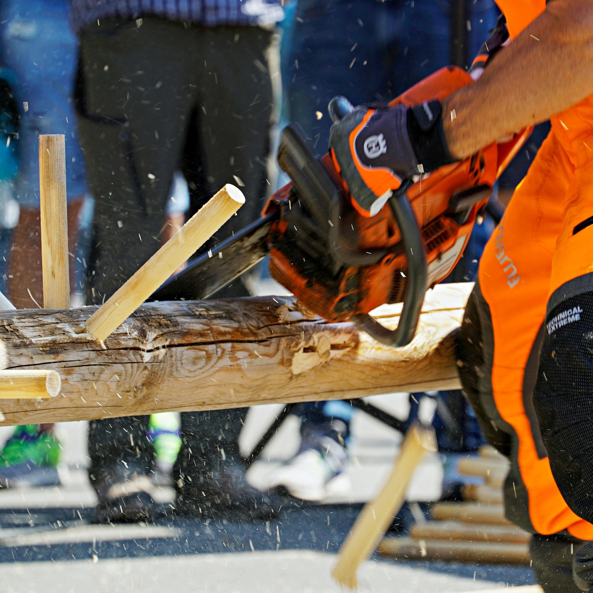 Schweizermeisterschaft Holzhauerei Wettkampf an der Forstmesse in Luzern.