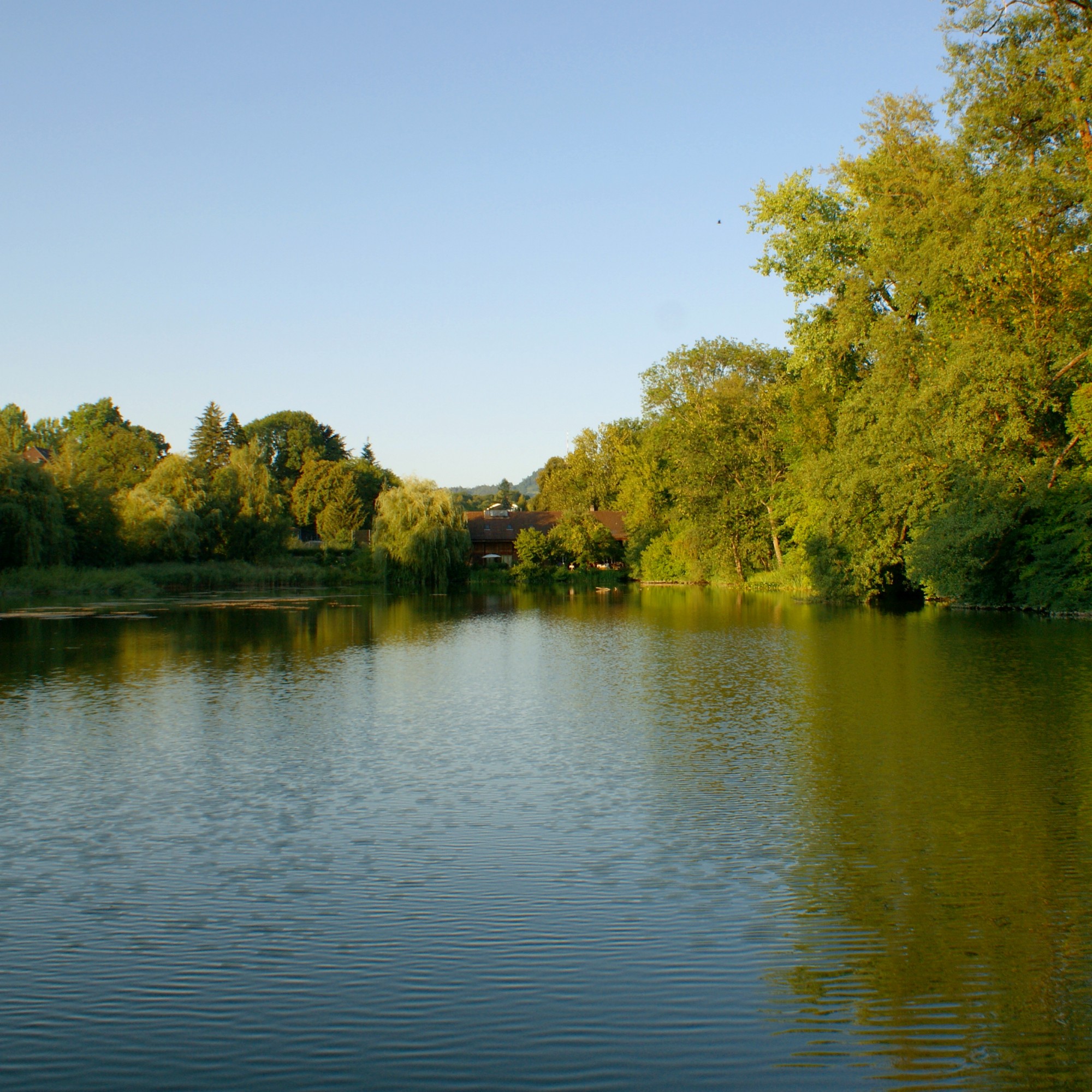 Der Egelsee befindet sich unweit des Zentrums Paul Klee im Osten der Stadt Bern.