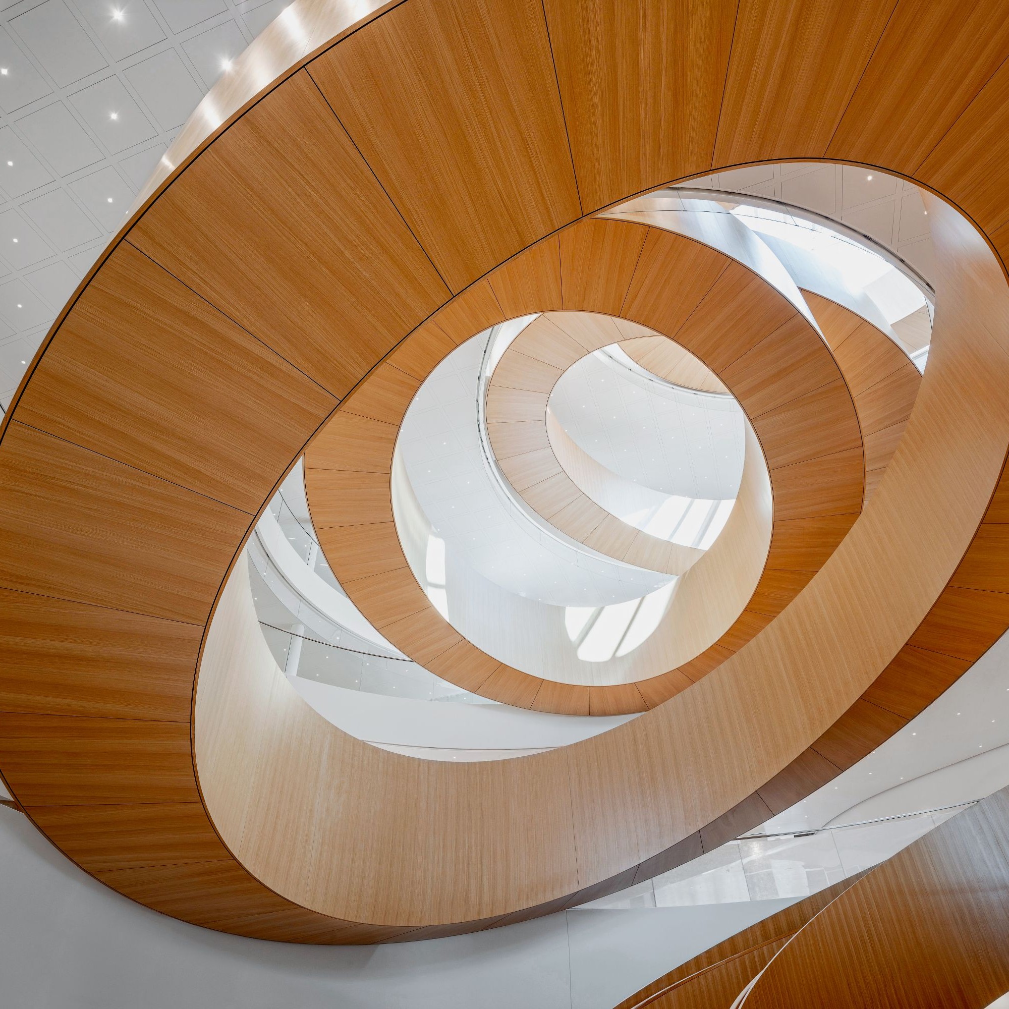 Für das zentrale Treppenhaus des Lausanner Olympiahauses liess sich das dänische Architekturbüro 3XN von den olympischen Ringen inspirieren. 
