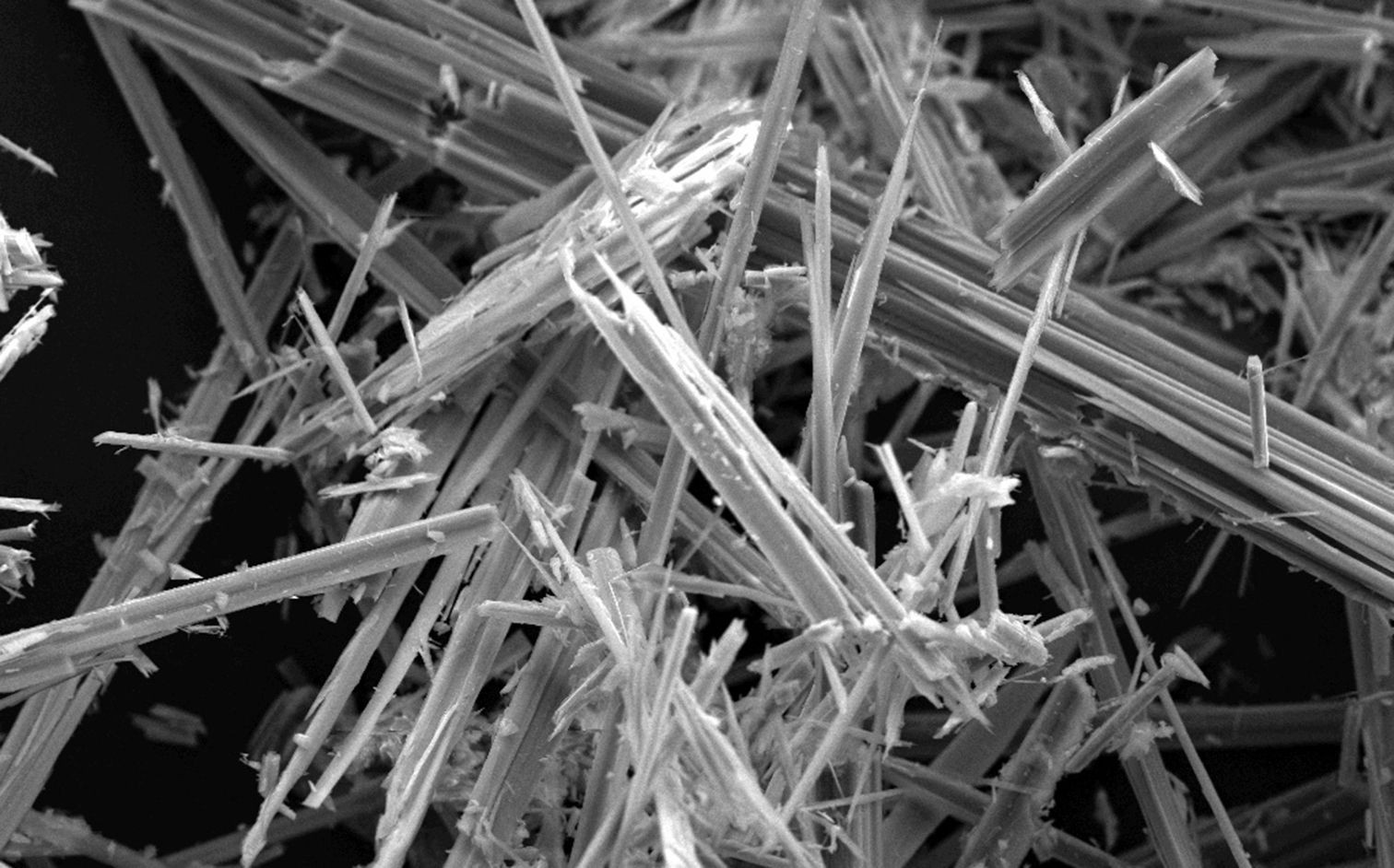 Elektronenmikroskopische Aufnahme von Asbestfasern