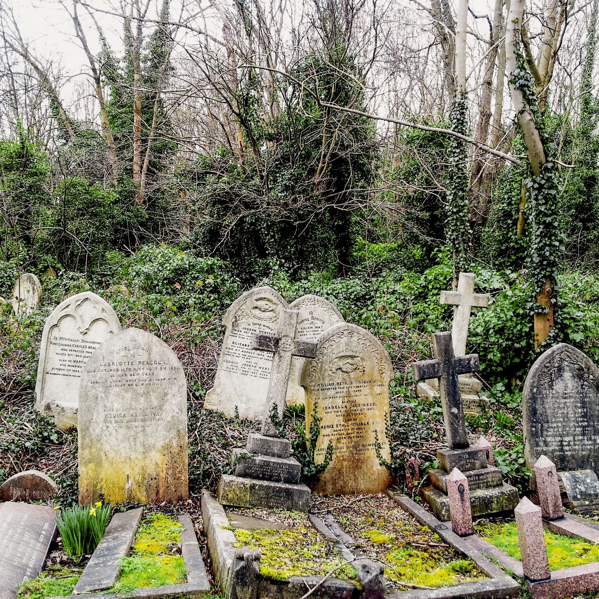Ein Grabplatz im altehrwürdigen Friedhof «Highgate» in London kostet 22'000 Franken.