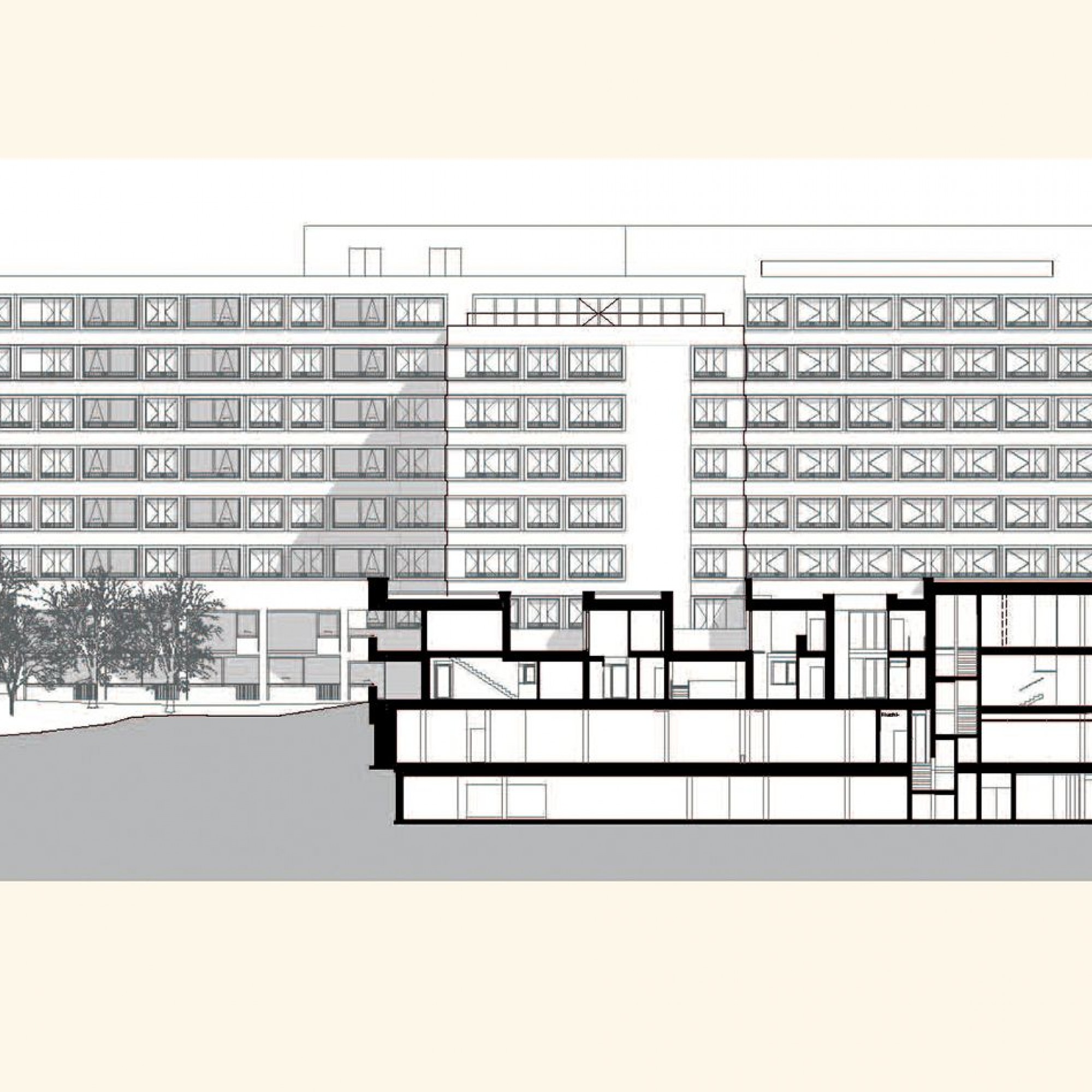 Der Schnitt durch den Annexbau zeigt, wie die «Townhouses» über Atrien mit Tageslicht versorgt werden.