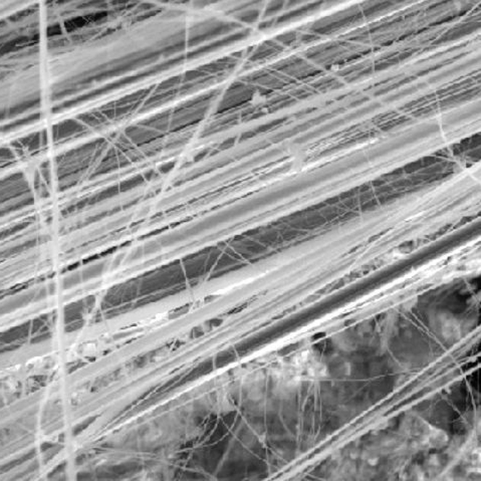 Mikroskopaufnahme Asbestfasern
