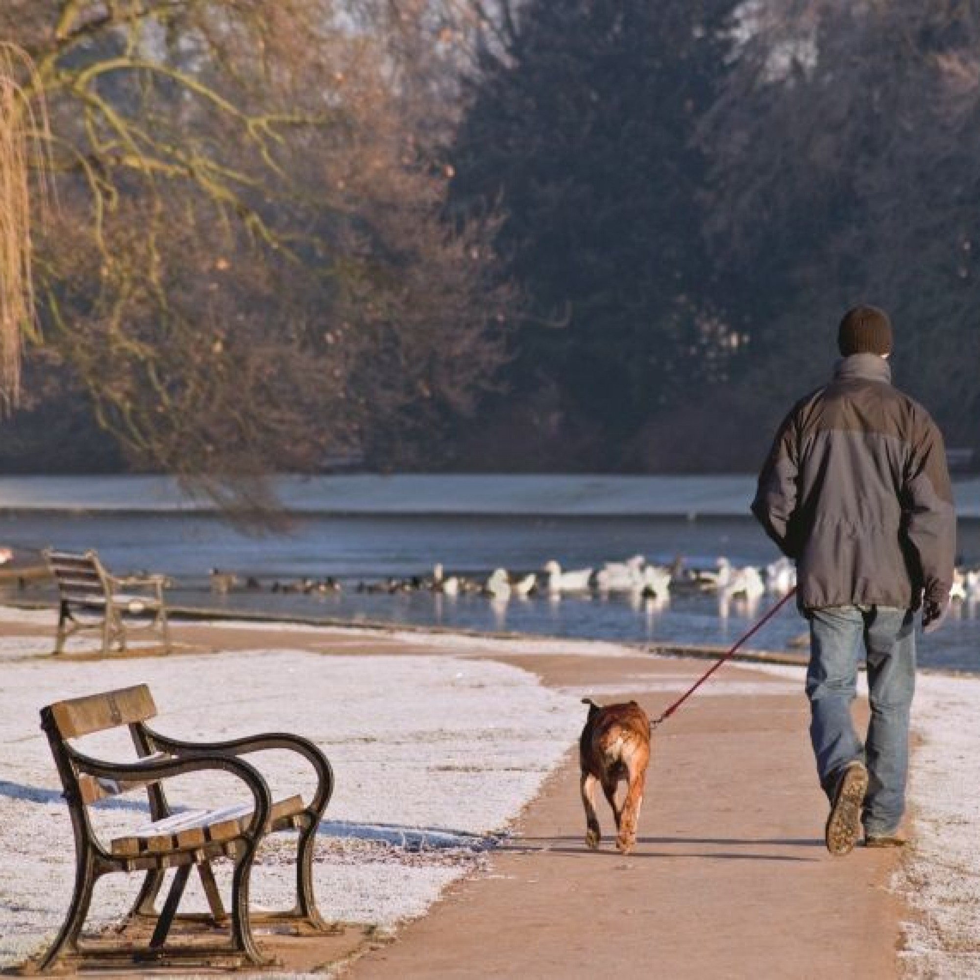 Geräumter Gehweg im Park.