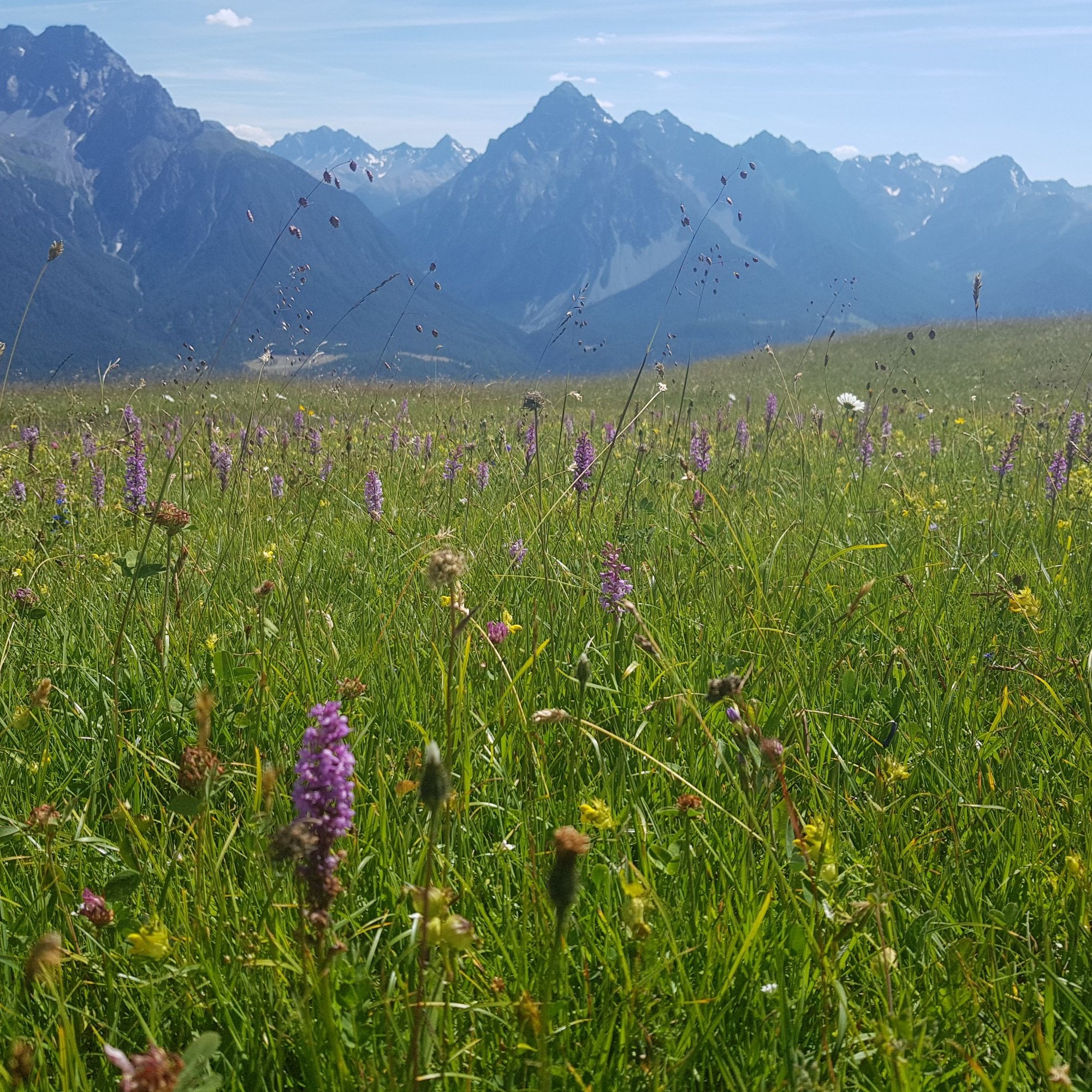 Trockenwiese «Marièrs» bei Scuol