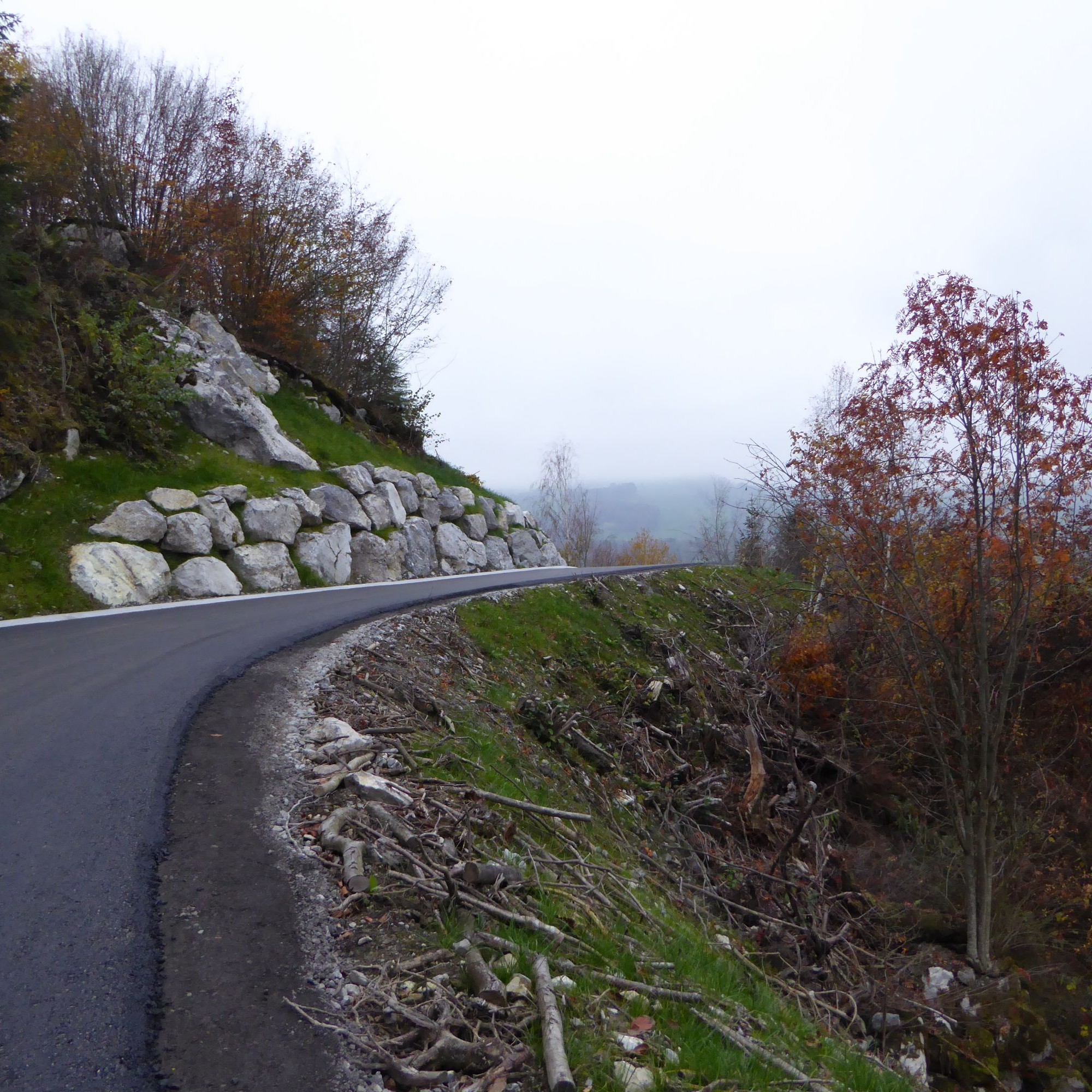 Die neue Etschistrasse im Gebiet Hinterbergwald, Gemeinde Alpnach. 