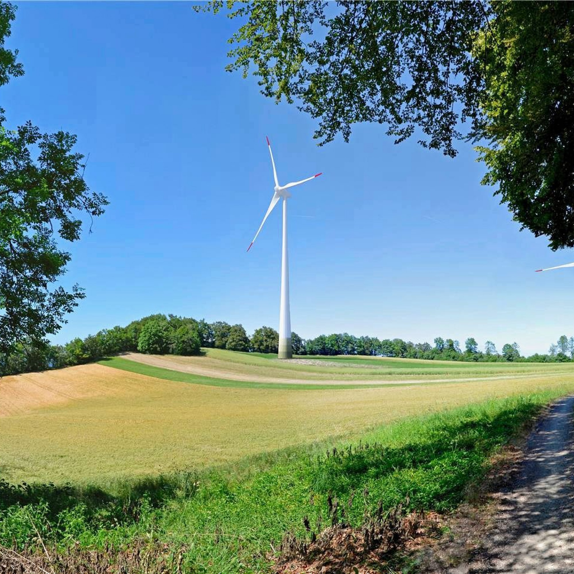Windpark Kienberg