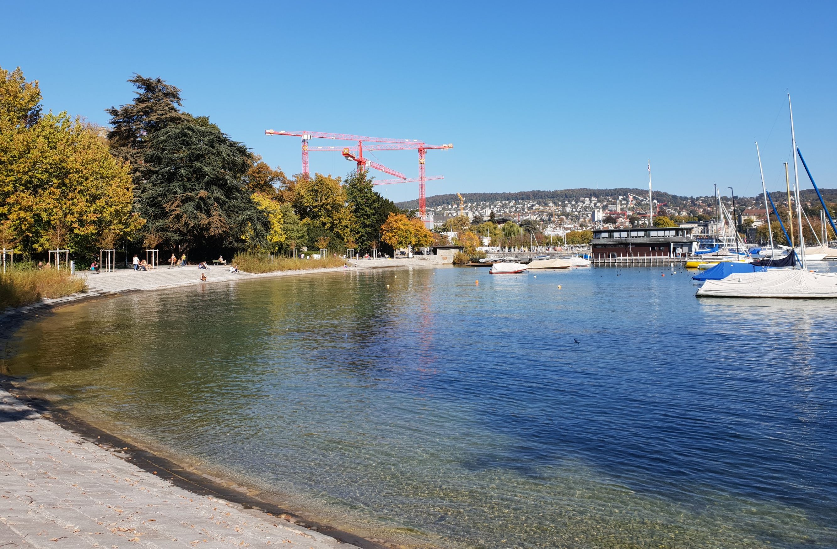 Zürichsee Arboretum Zürich General Guisan-Quai