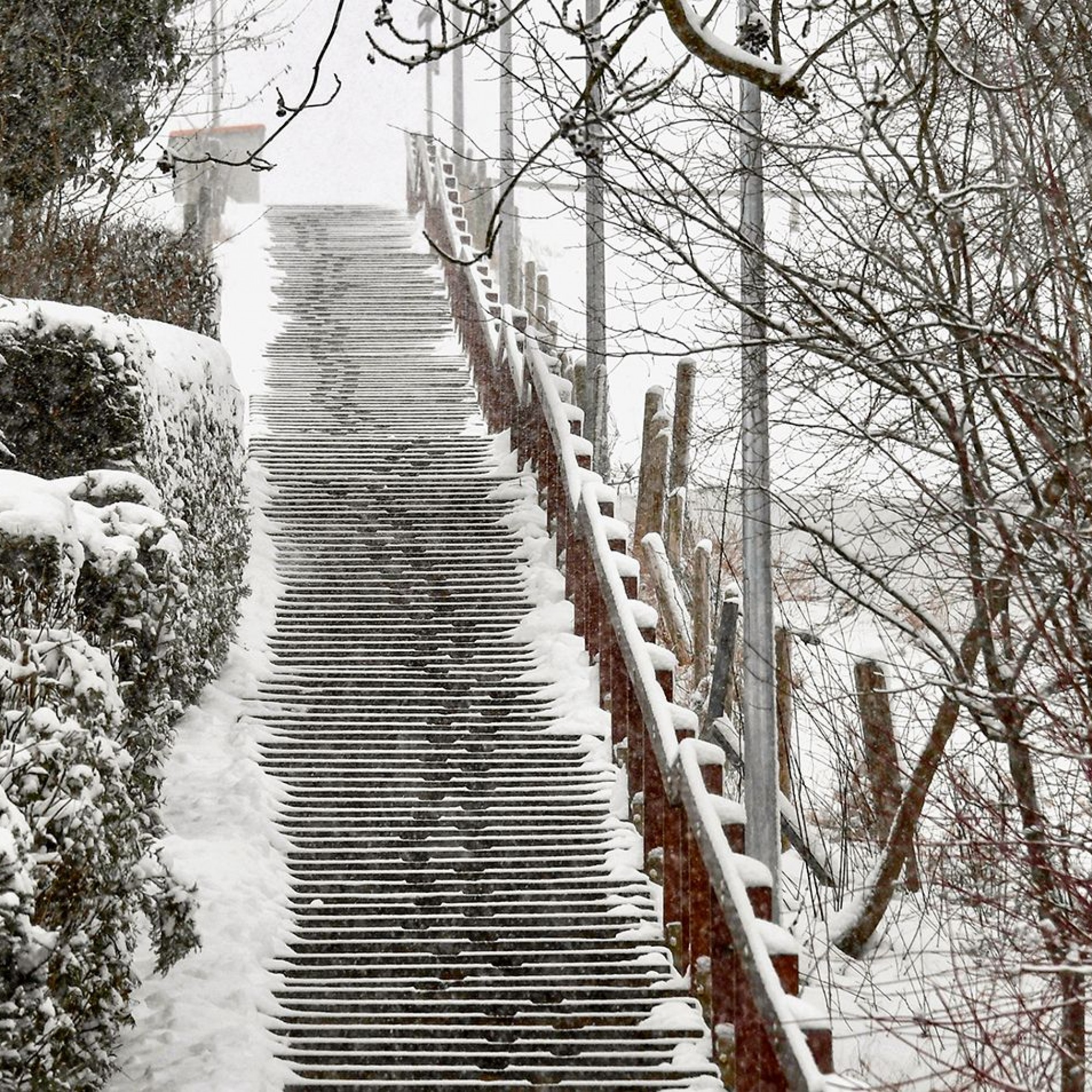 Spuren im Schnee auf dem Brauersteig.