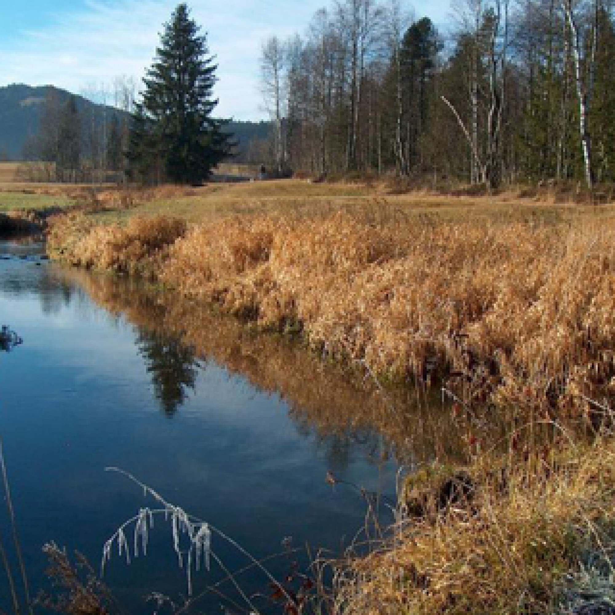 Lebensräume von nationaler Bedeutung (im Bild: Moorlandschaft bei Rothenthurm SZ) können neu als Karten im Internet betrachtet werden.