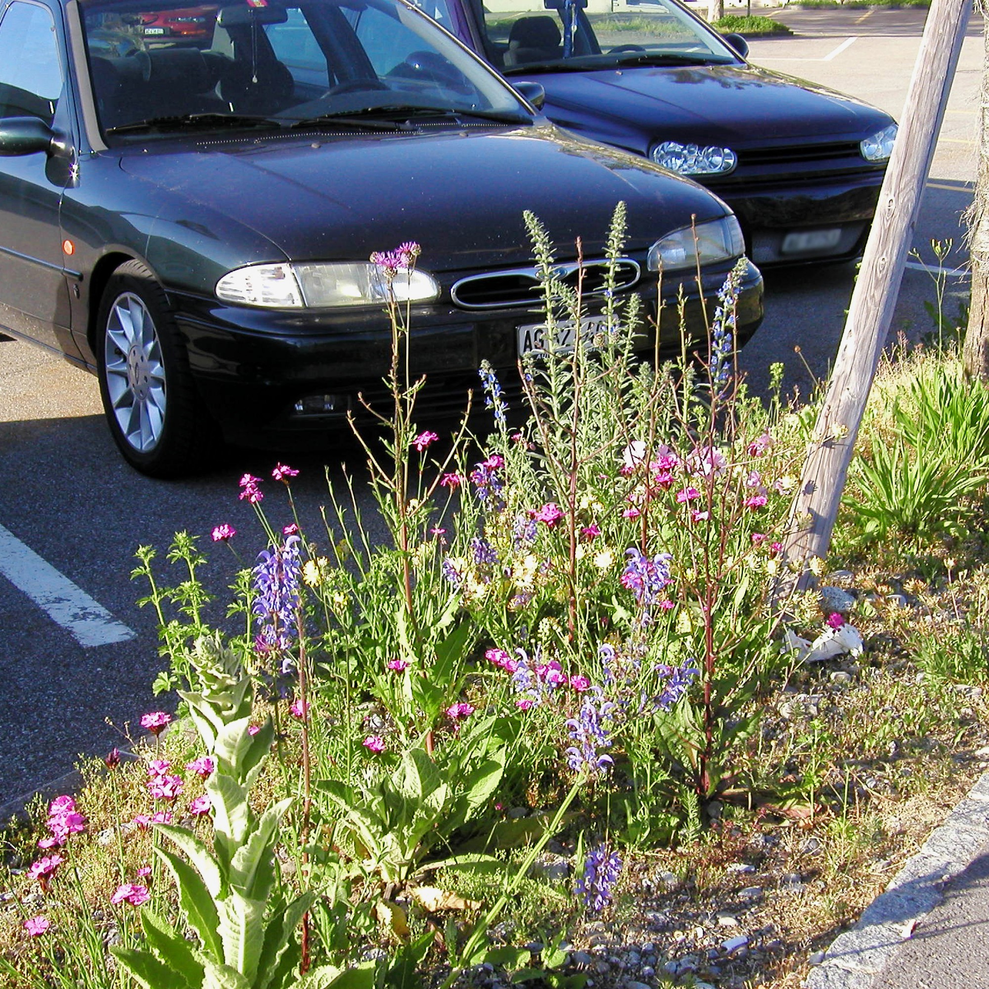 Restfläche bei einem Parkplatz