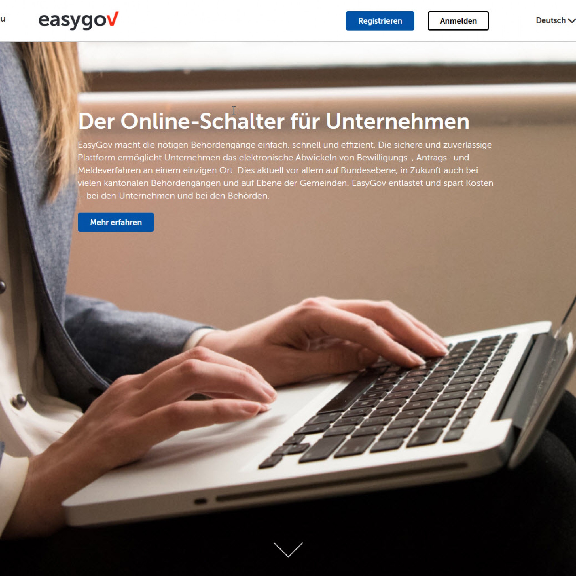 easygov.swiss