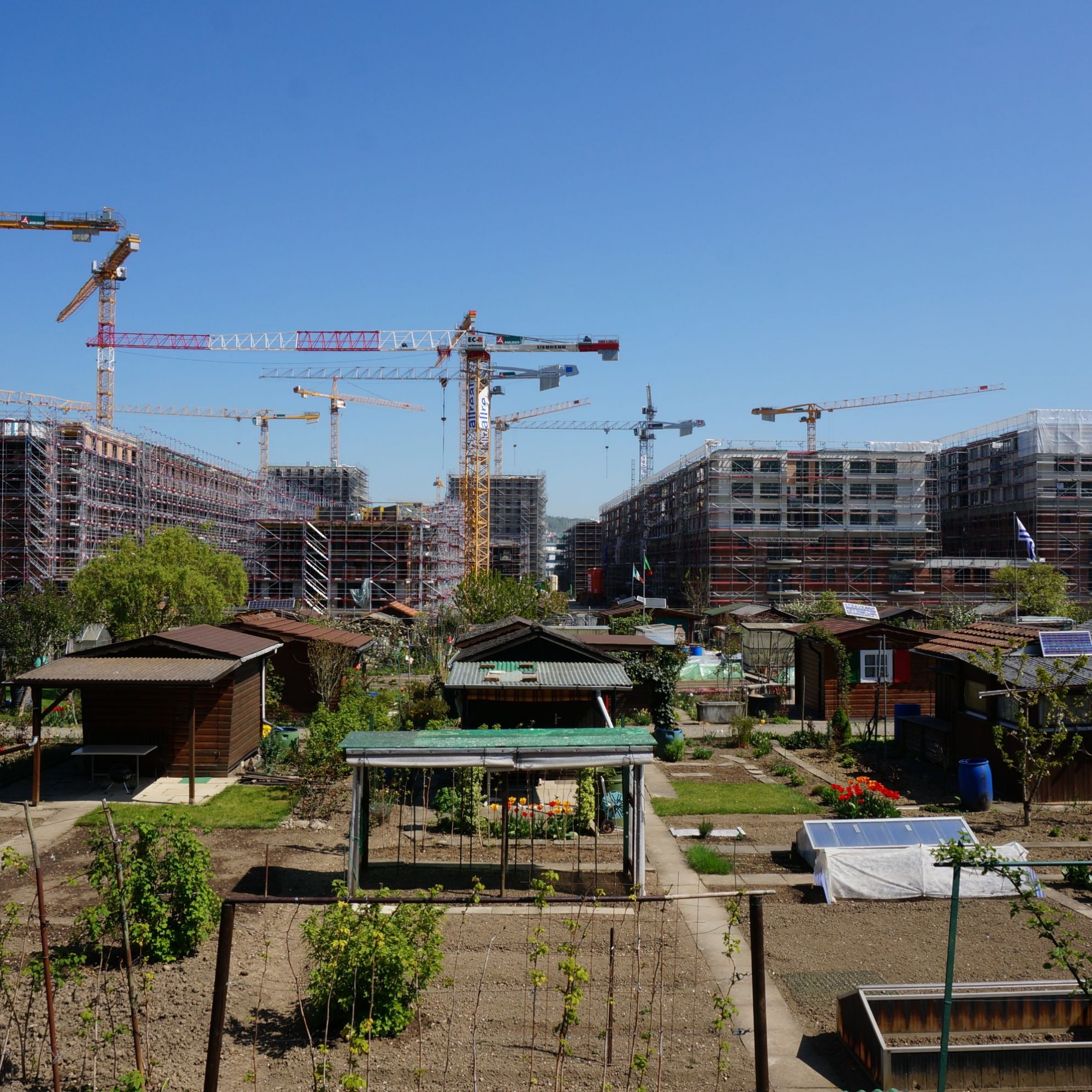 Überbauung Freilager, Zürich-Albisrieden