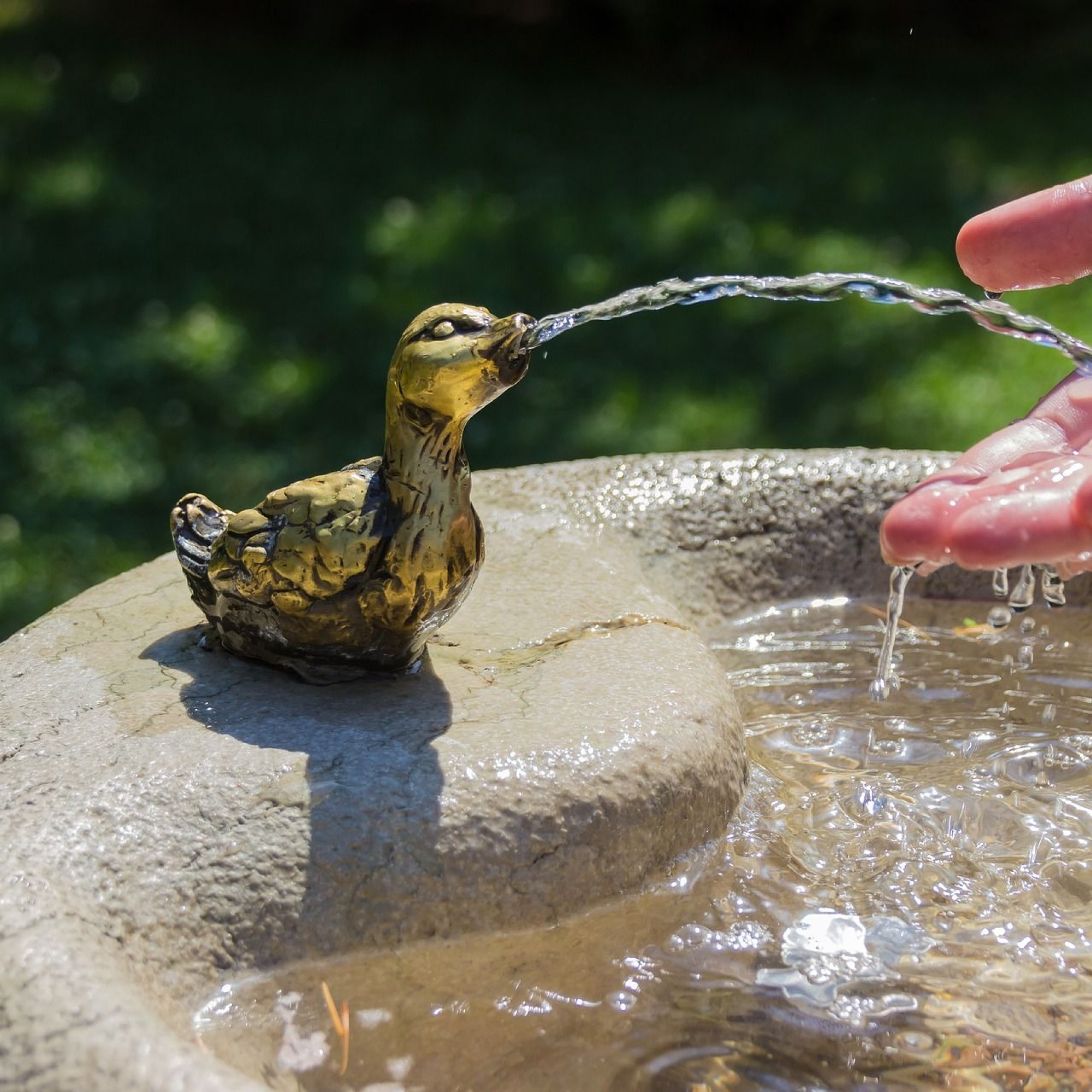 Brunnen mit Ente