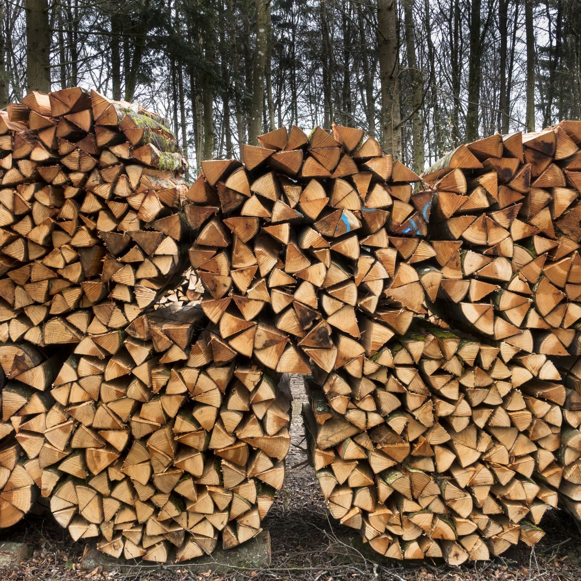 Holzstapel