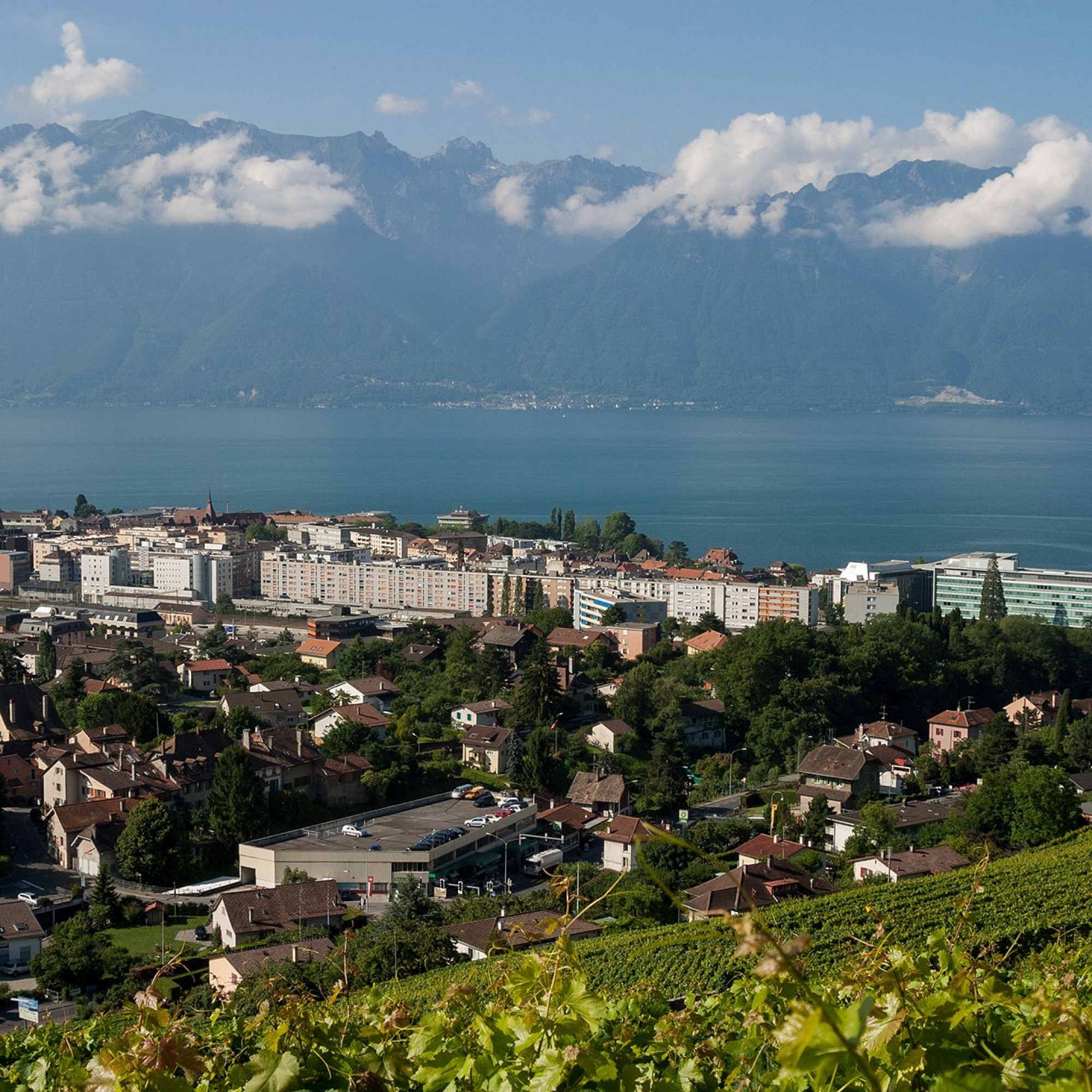 Vevey Panorama