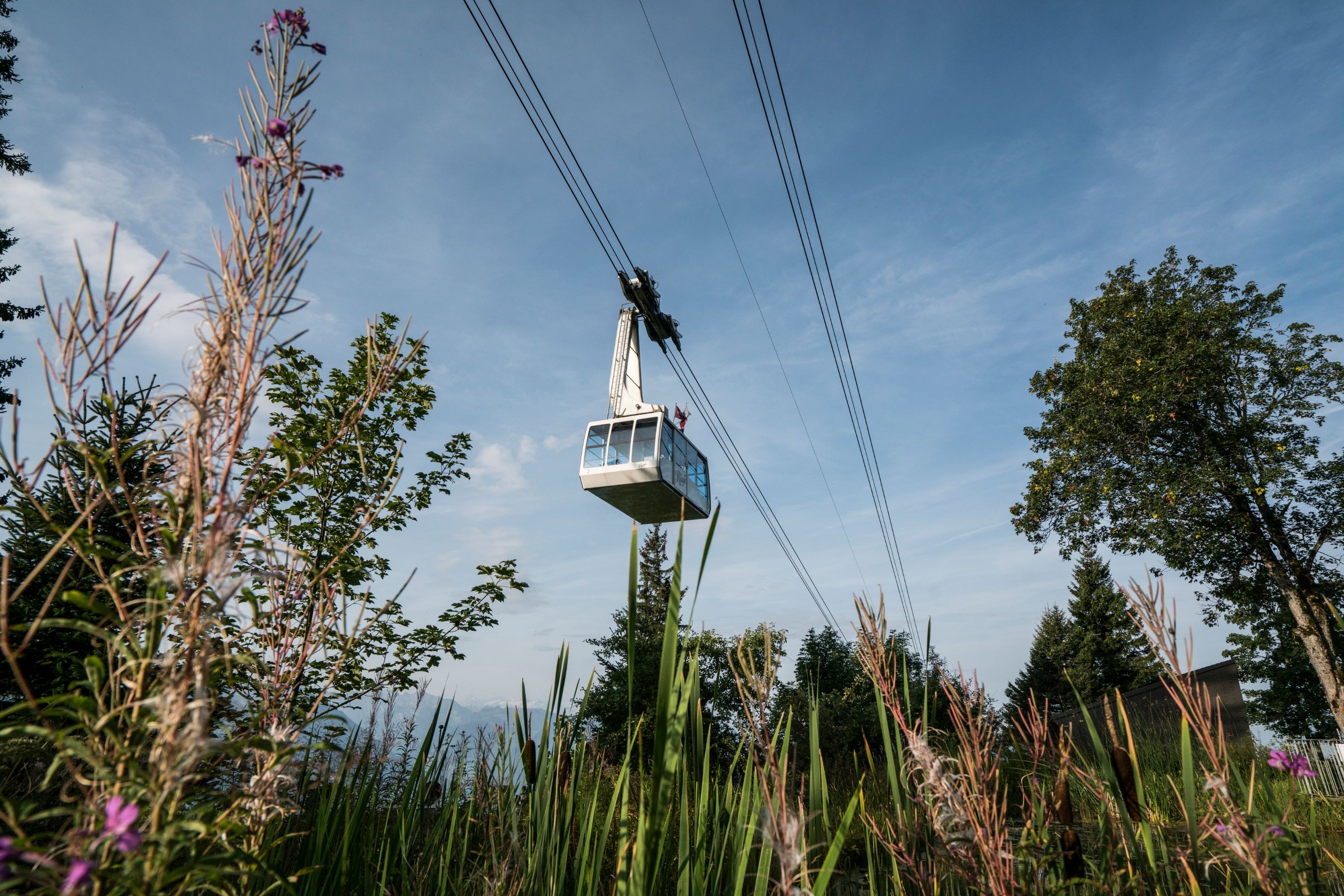 Seilbahn Weggis-Rigi-Kaltbad